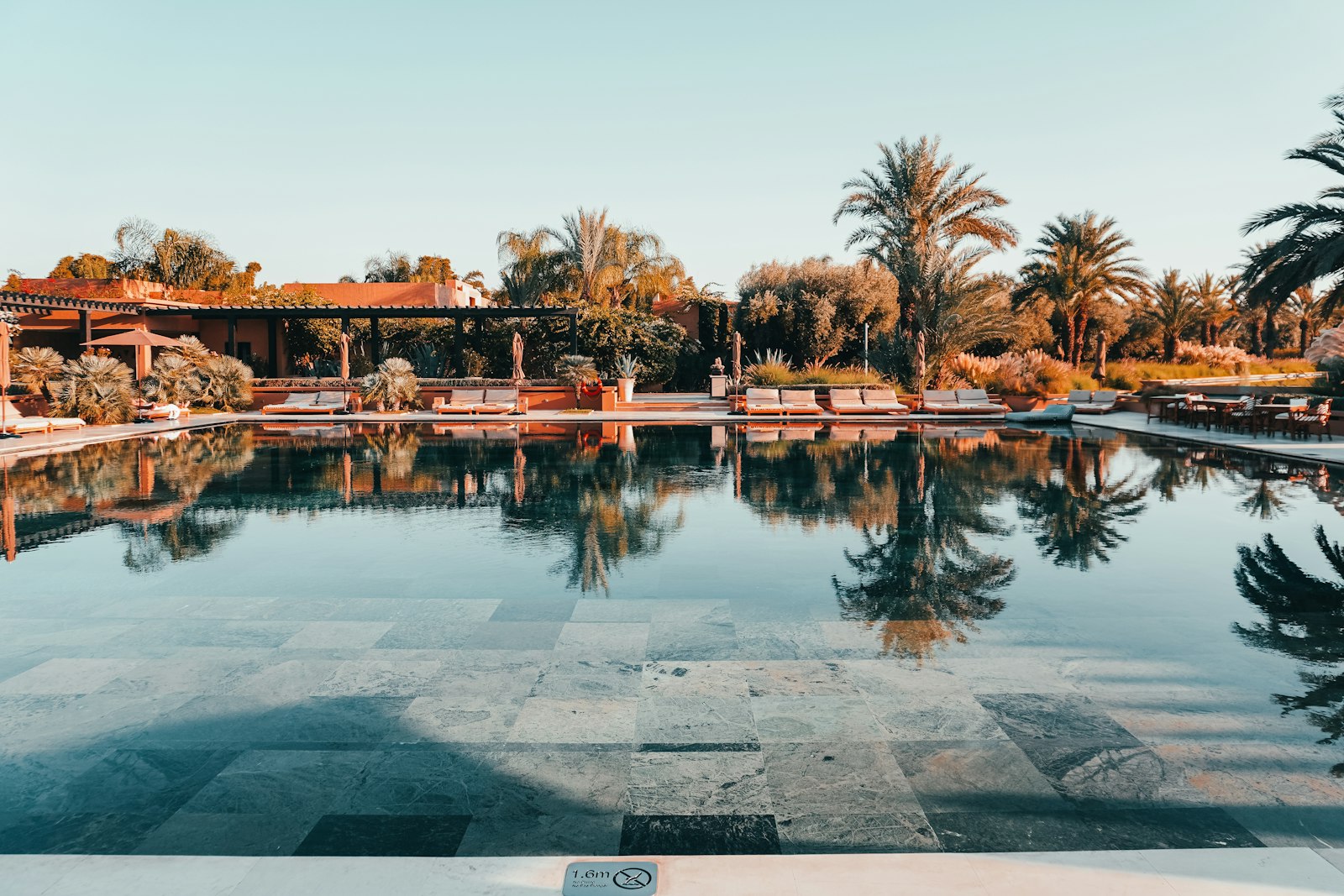 Swimming pool surrounded by palm trees in a villa in Marrakech's Palmeraie