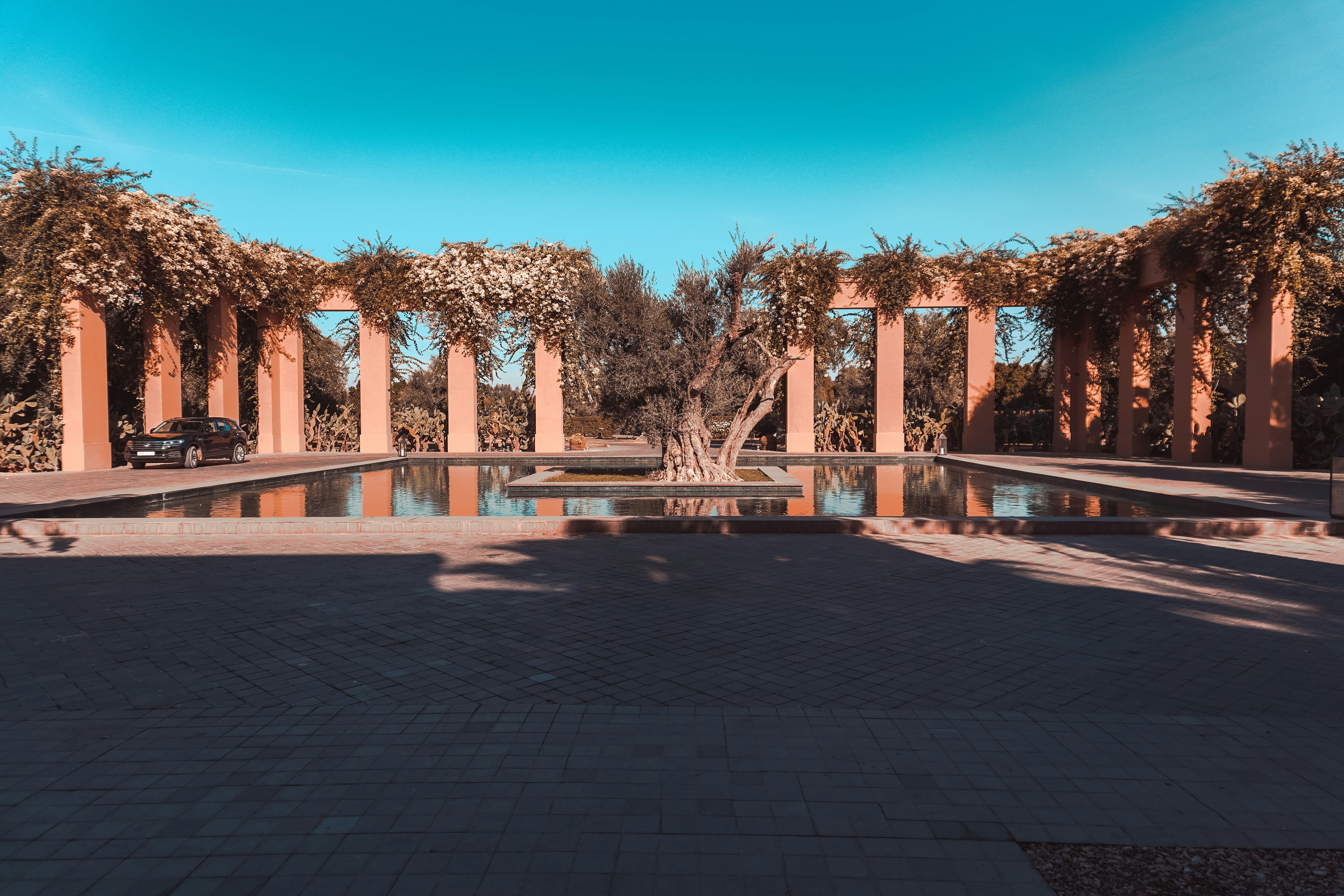 Photo by _miltiadis_