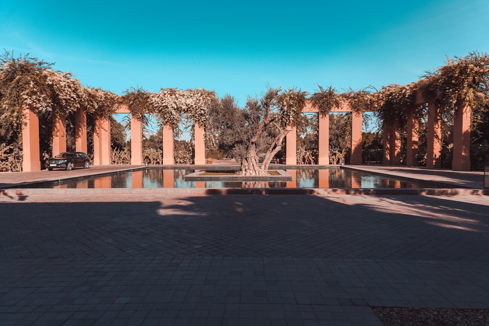 a large pool surrounded by trees and a blue sky