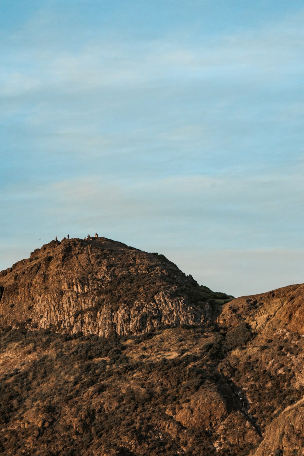 una colina con algunos animales en la cima