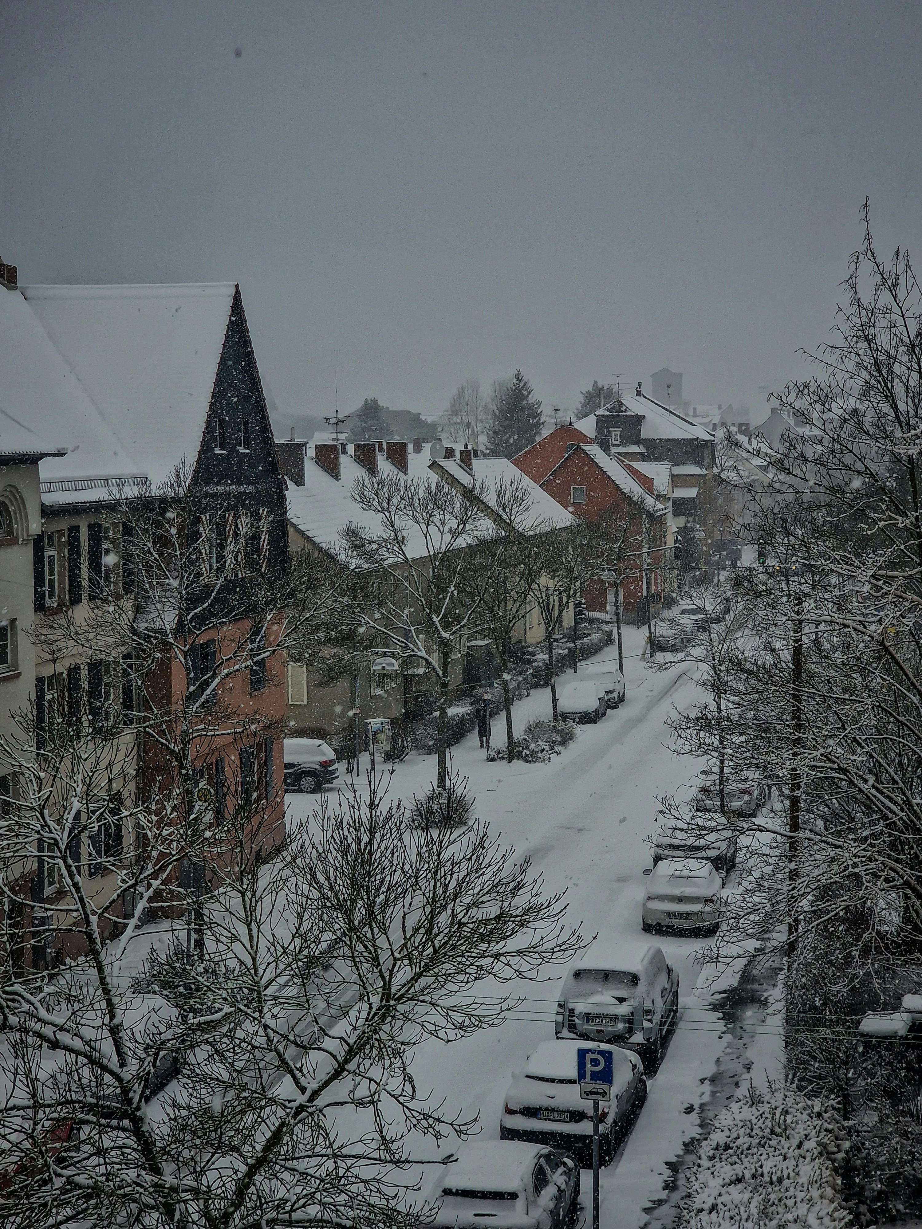 Photo by meshaal_hajali