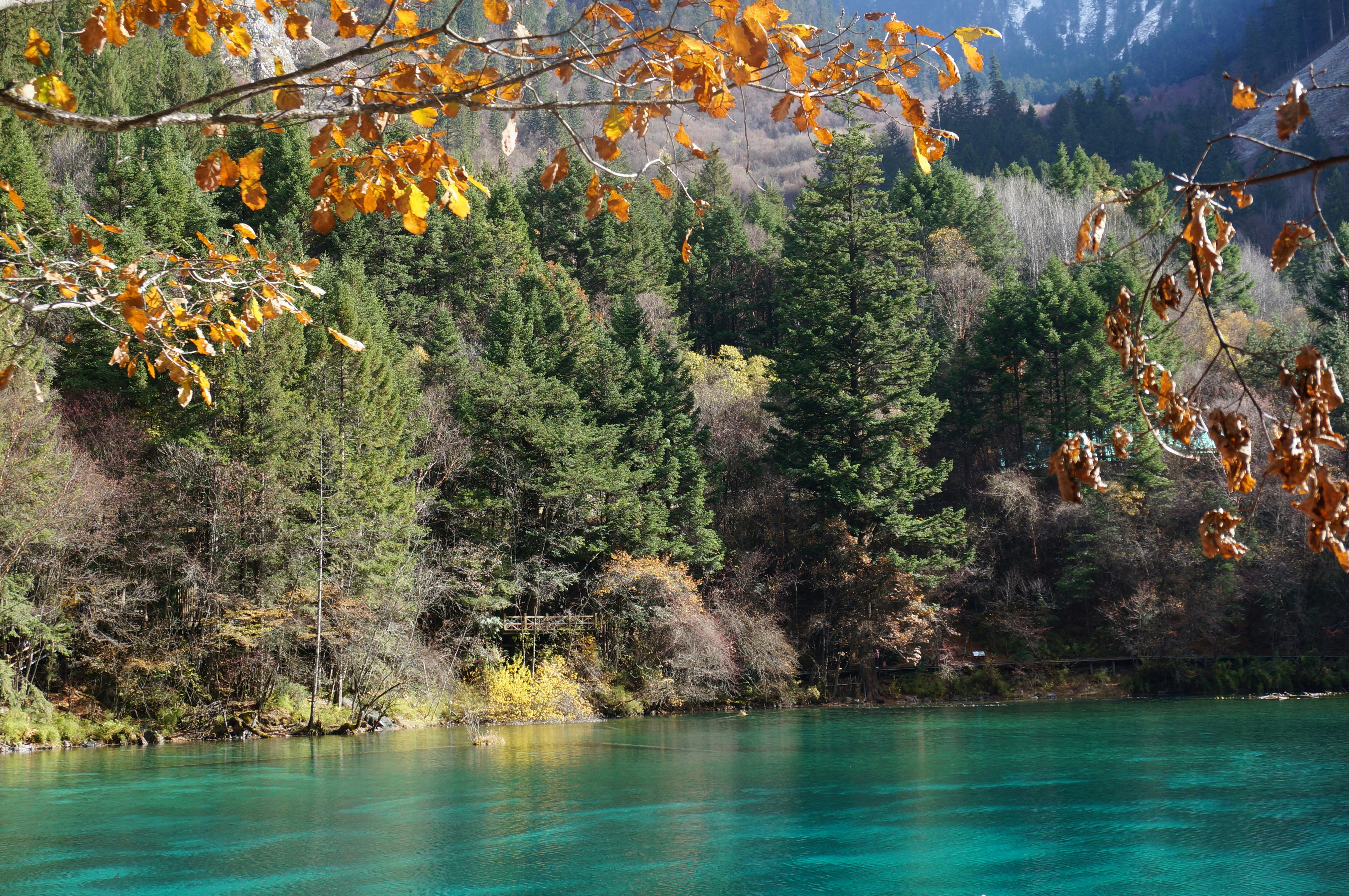 Photo by tueanhbaouy