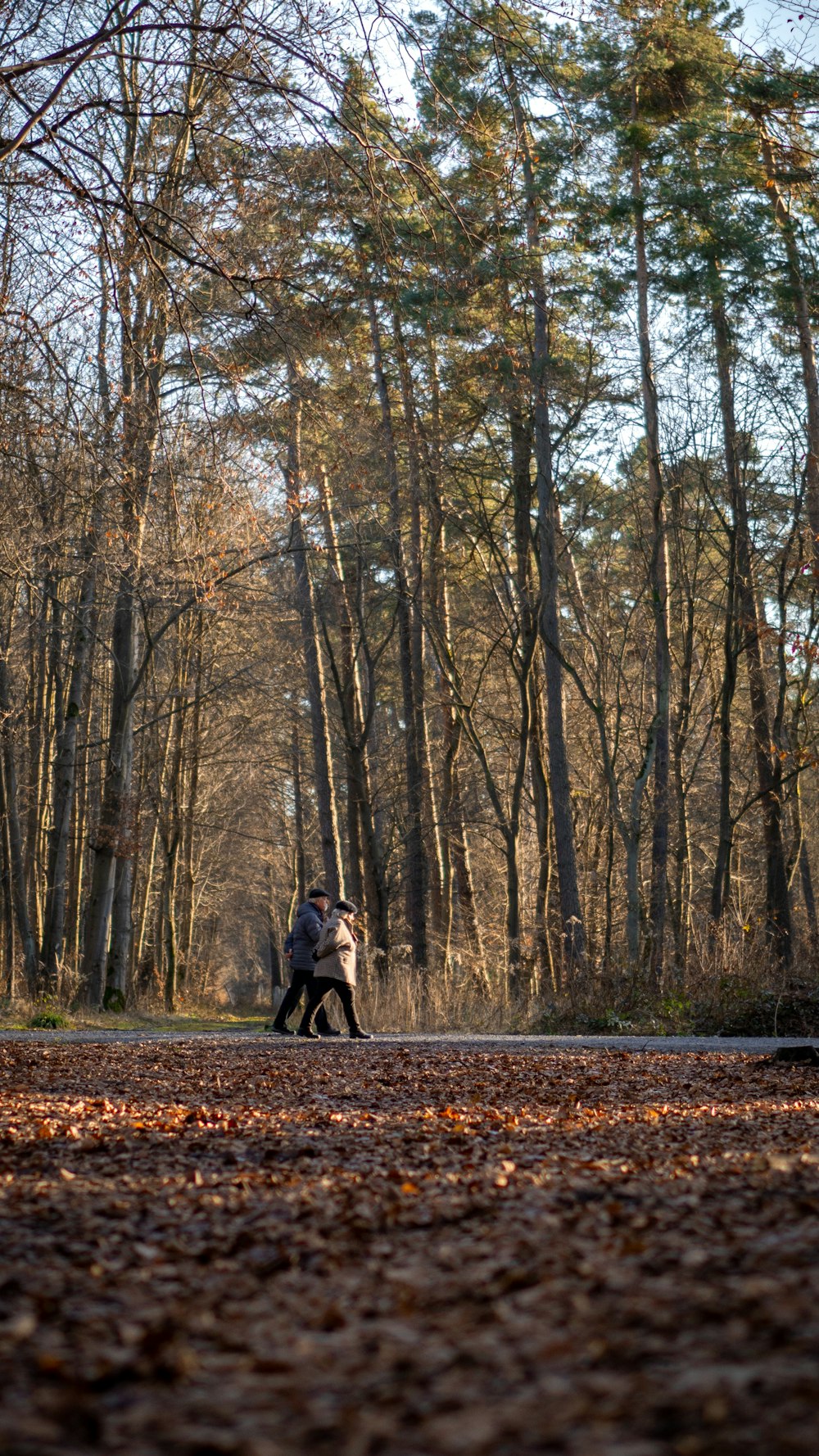 a man riding a motorcycle through a forest