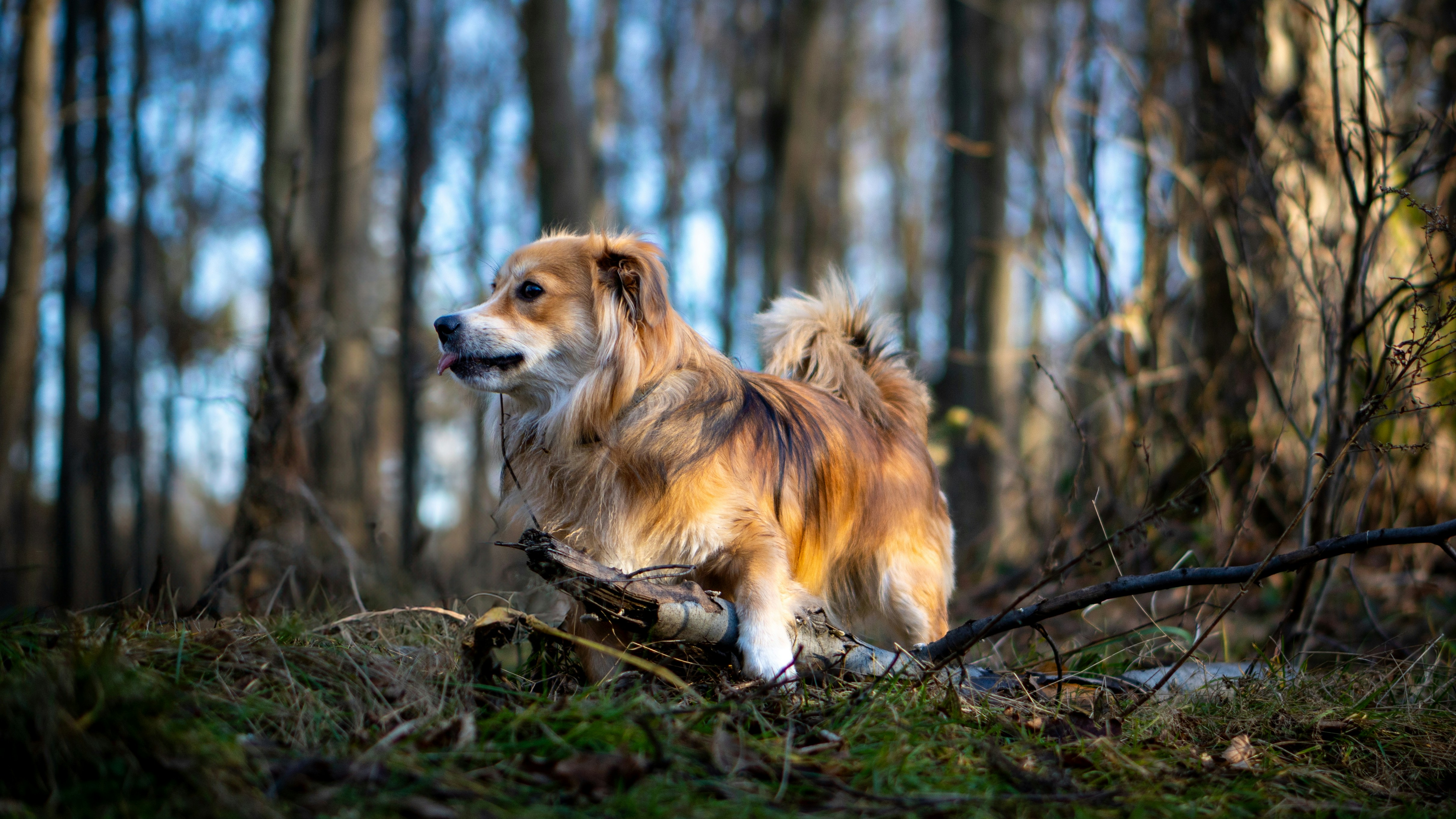 Photo by misha_blivi