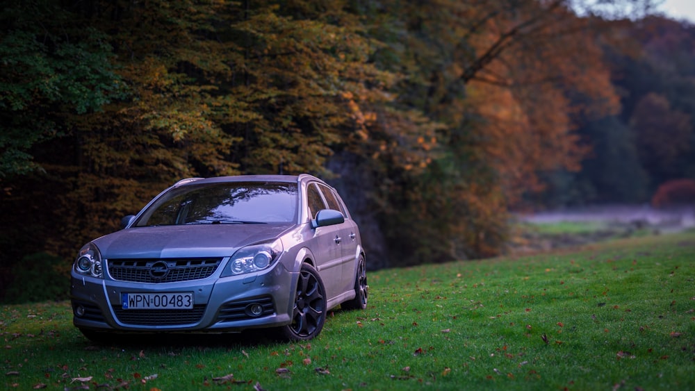 a grey car parked in a field next to trees