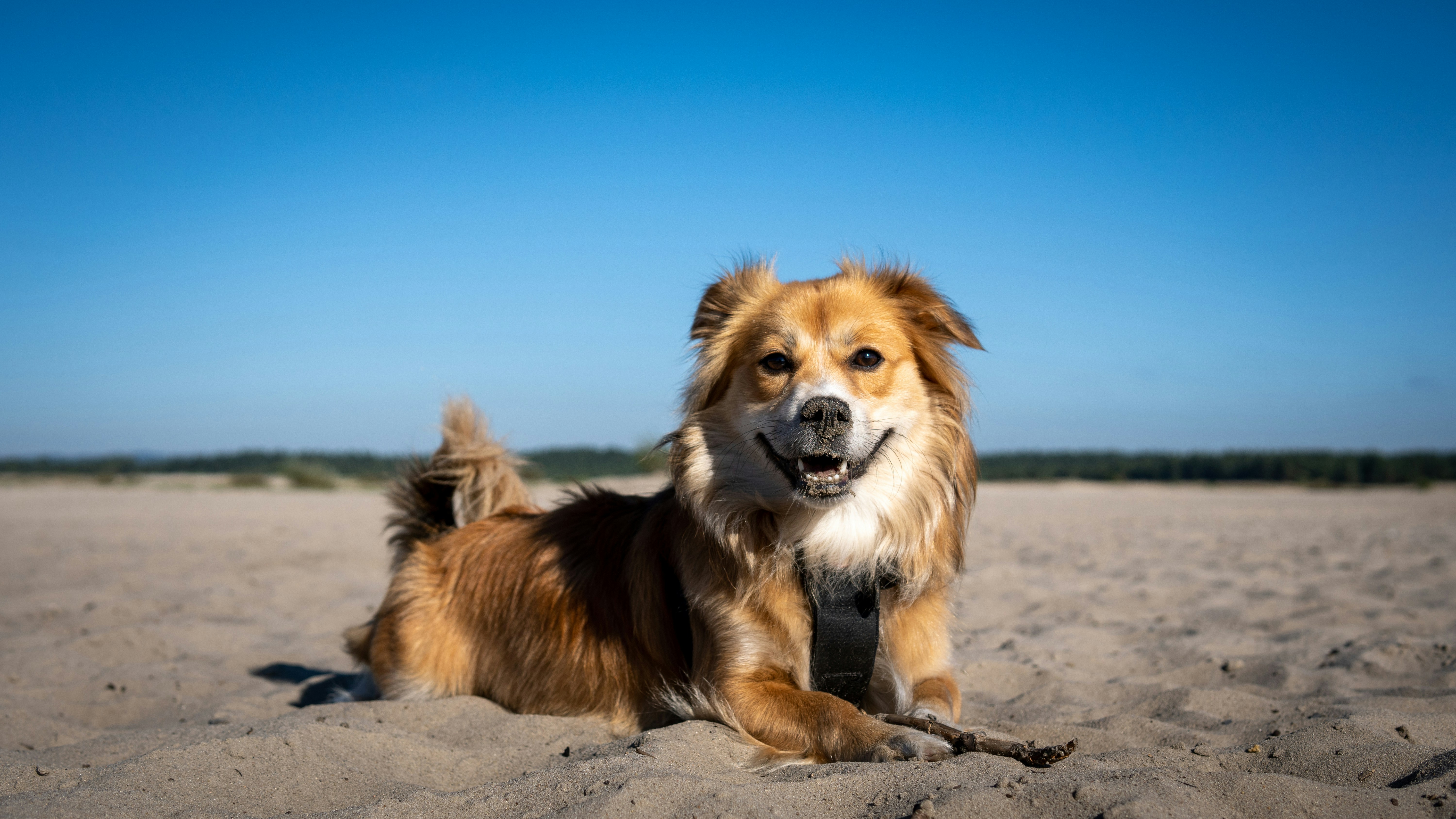 Photo by misha_blivi