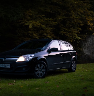 a small black car parked in a grassy field