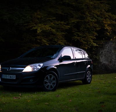 a small black car parked in a grassy field