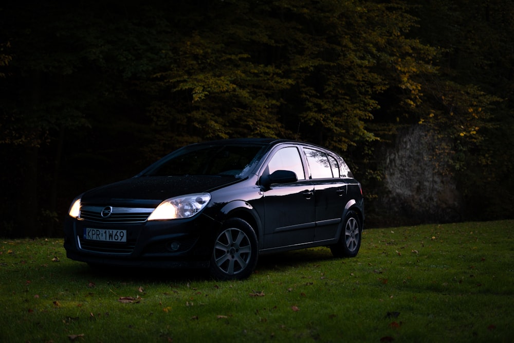 a small black car parked in a grassy field