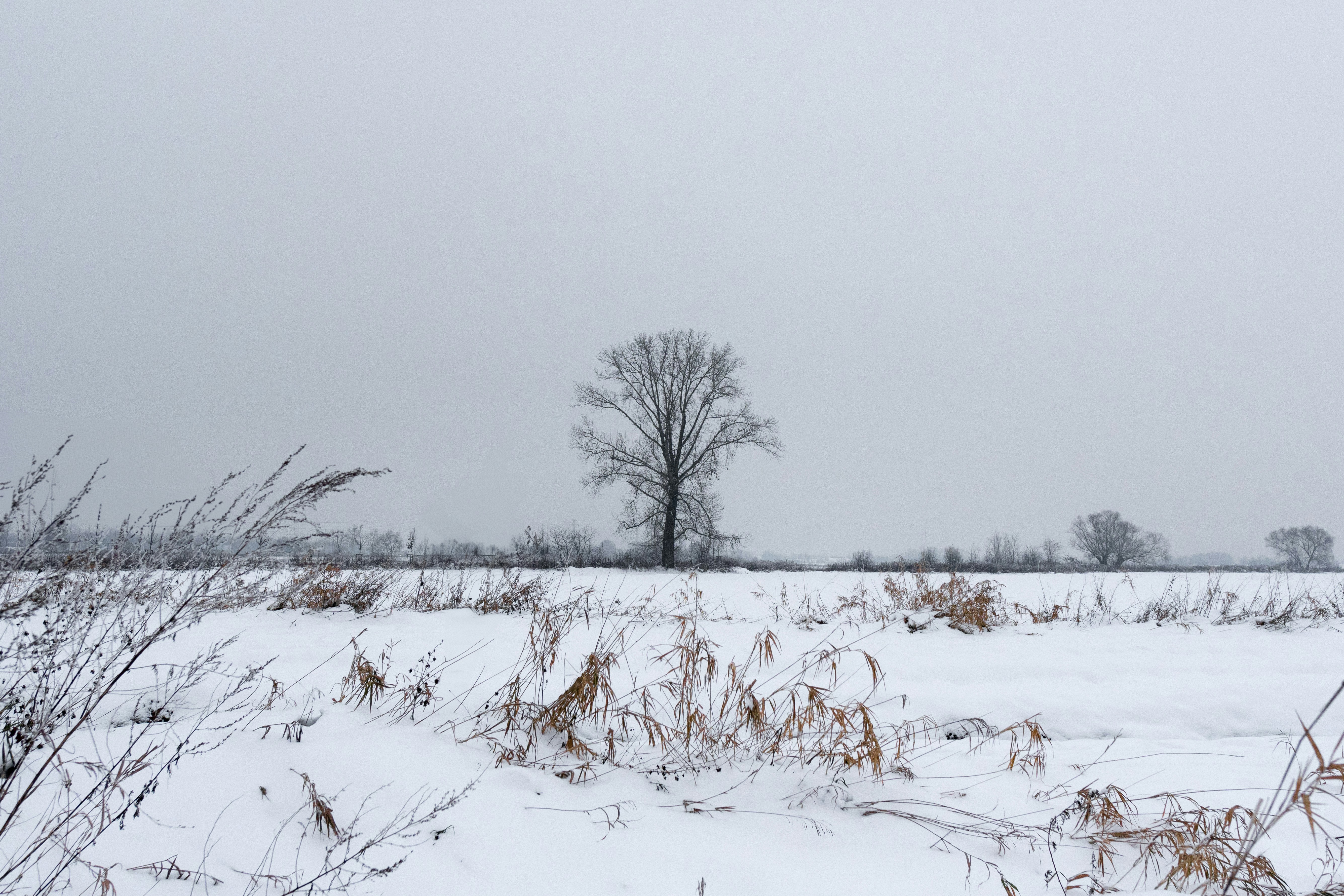 Photo by misha_blivi