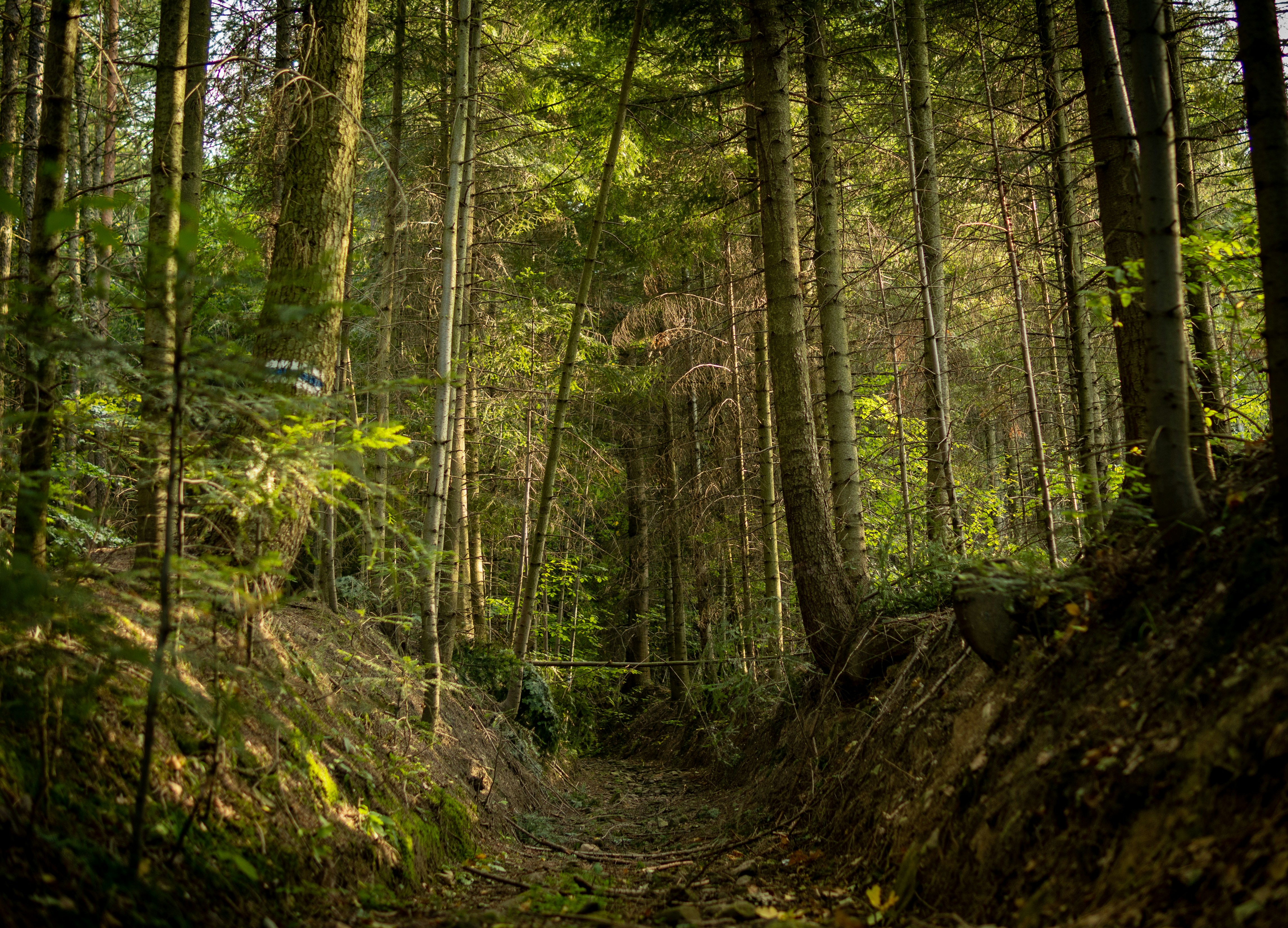 Photo by misha_blivi