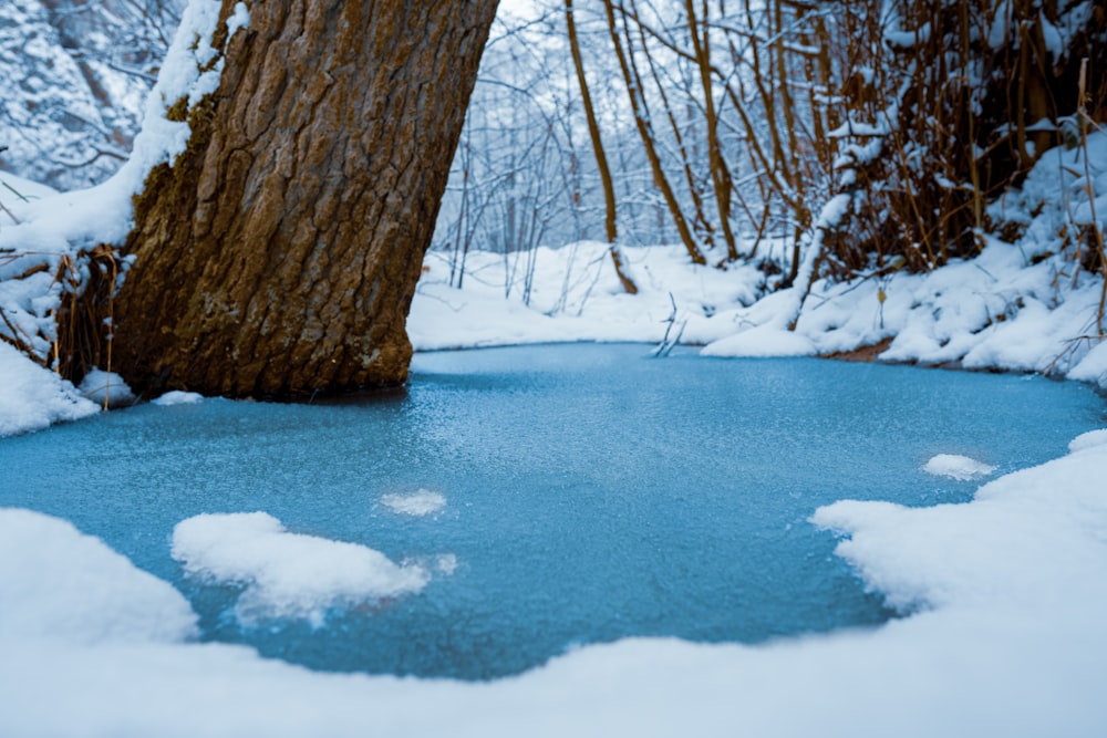 a frozen pond surrounded by snow covered trees