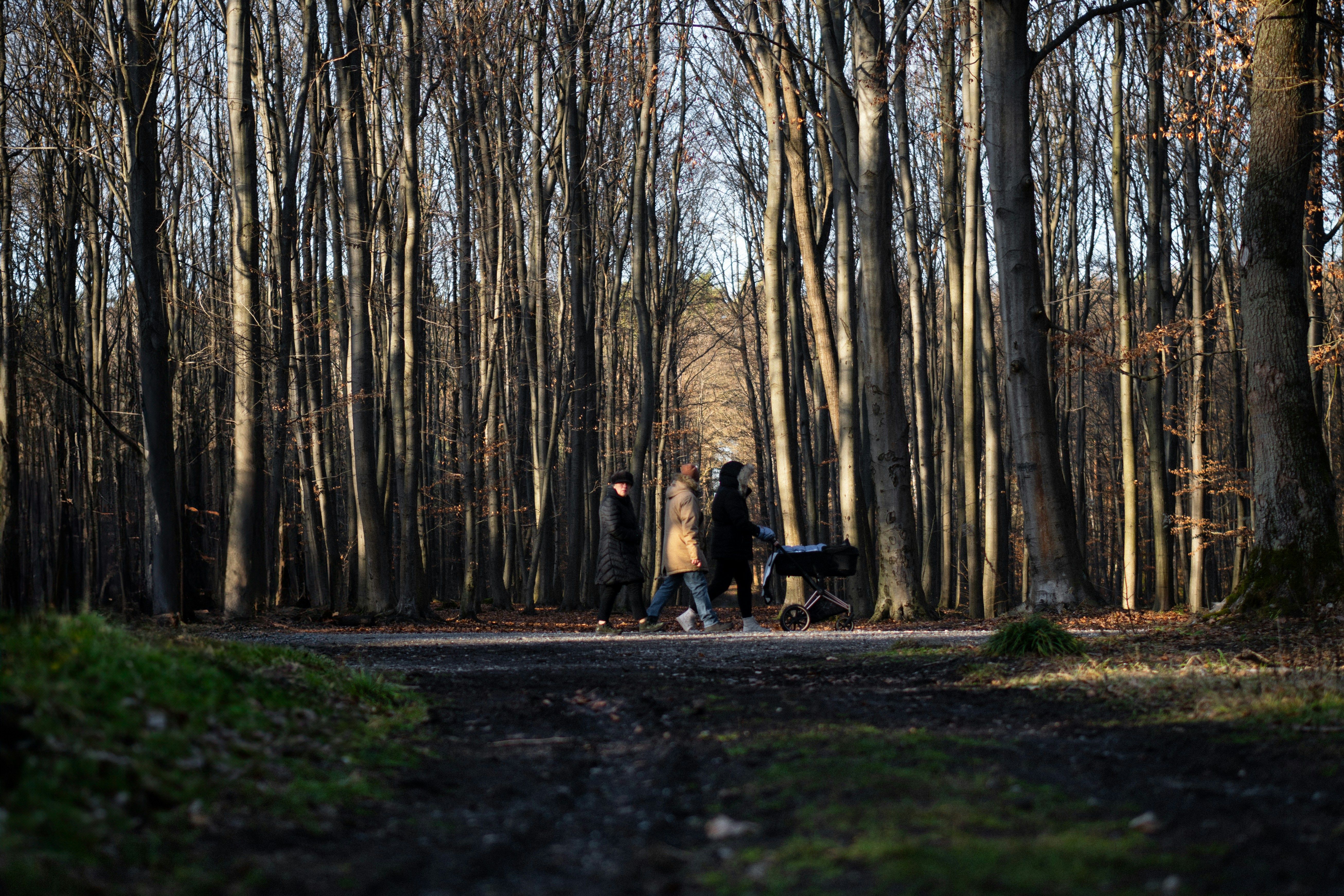 two people walking down a path in the woods 풍경 사진