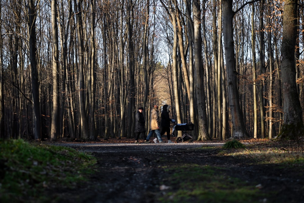 two people walking down a path in the woods