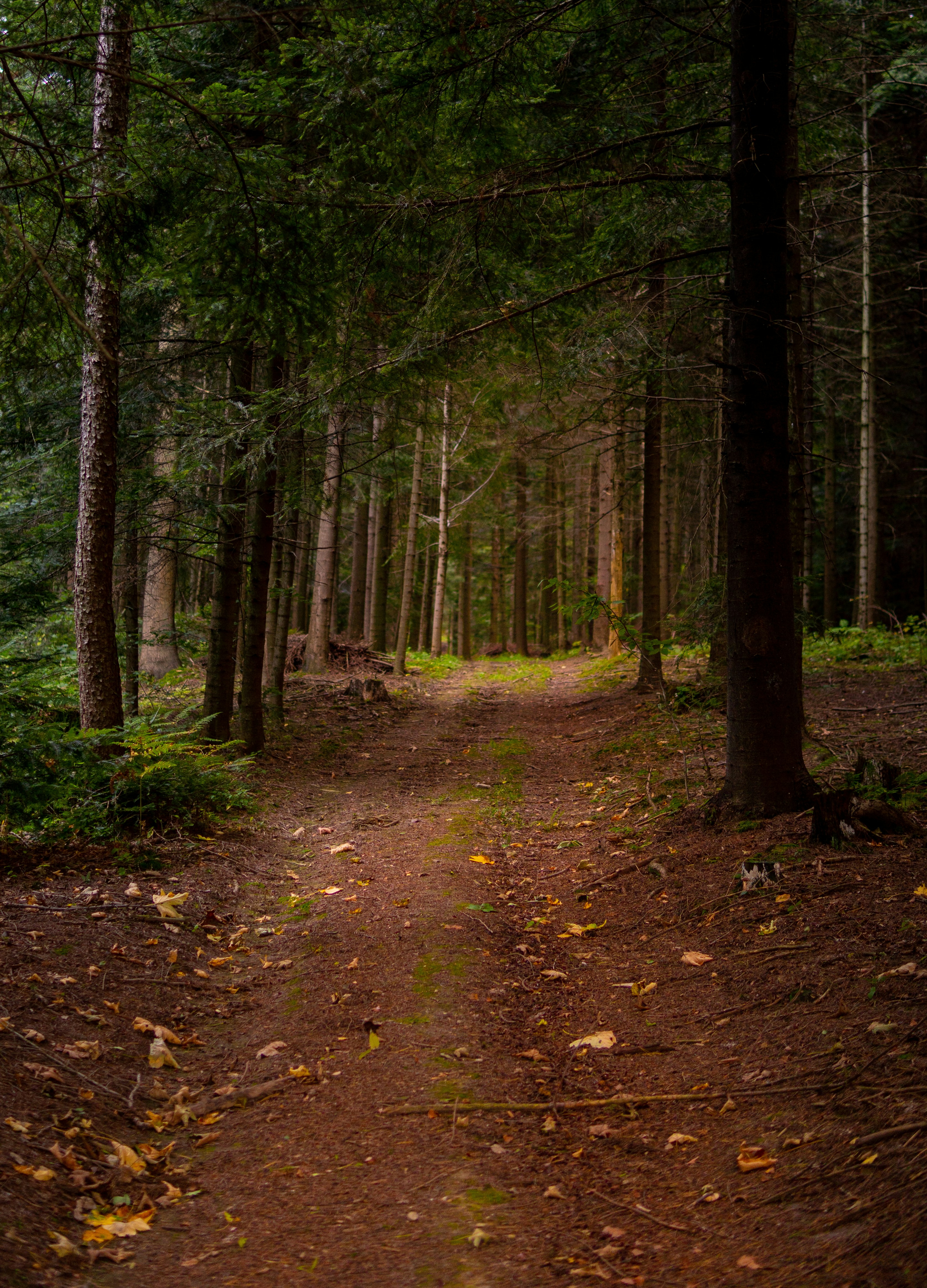 Photo by misha_blivi