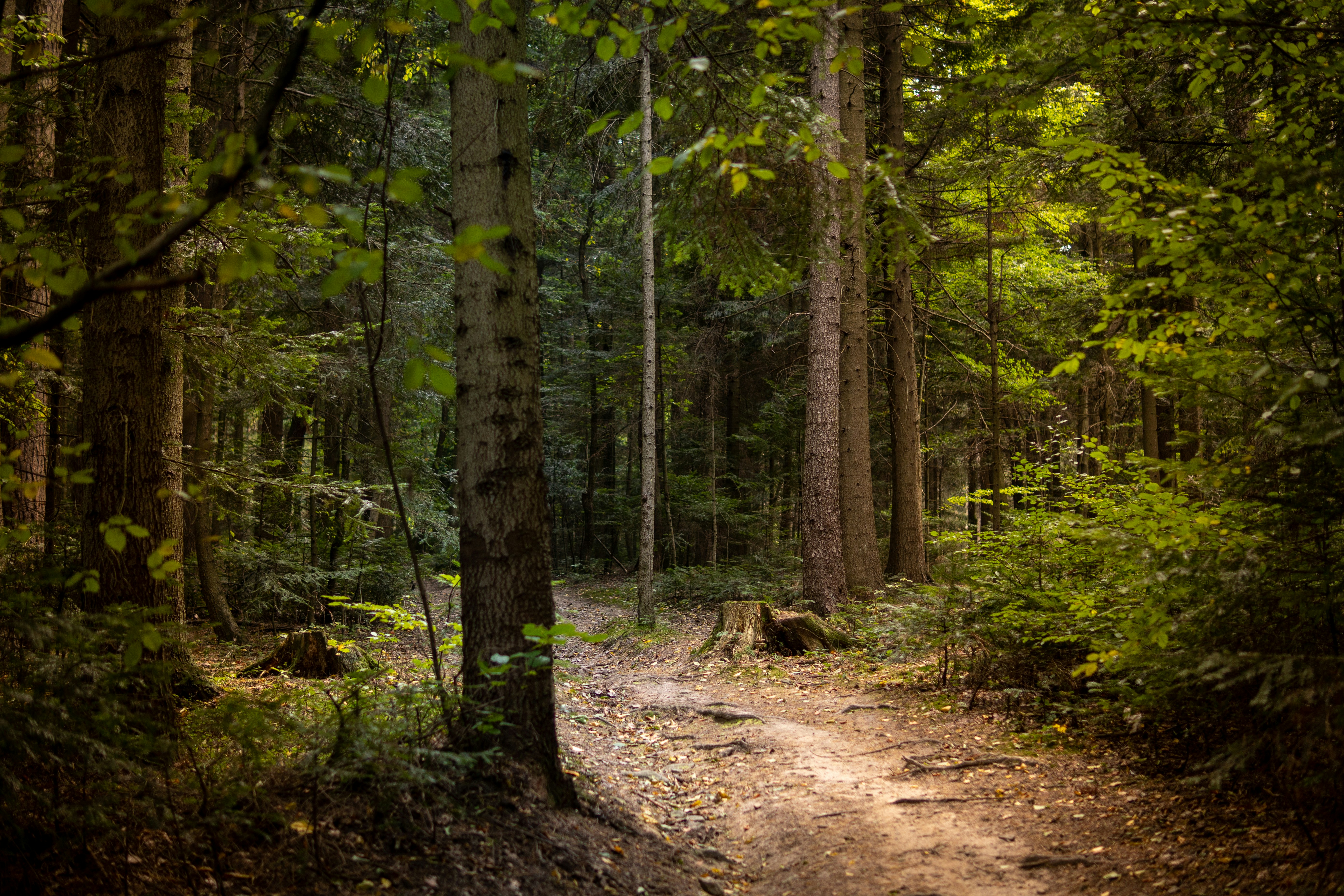 Photo by misha_blivi