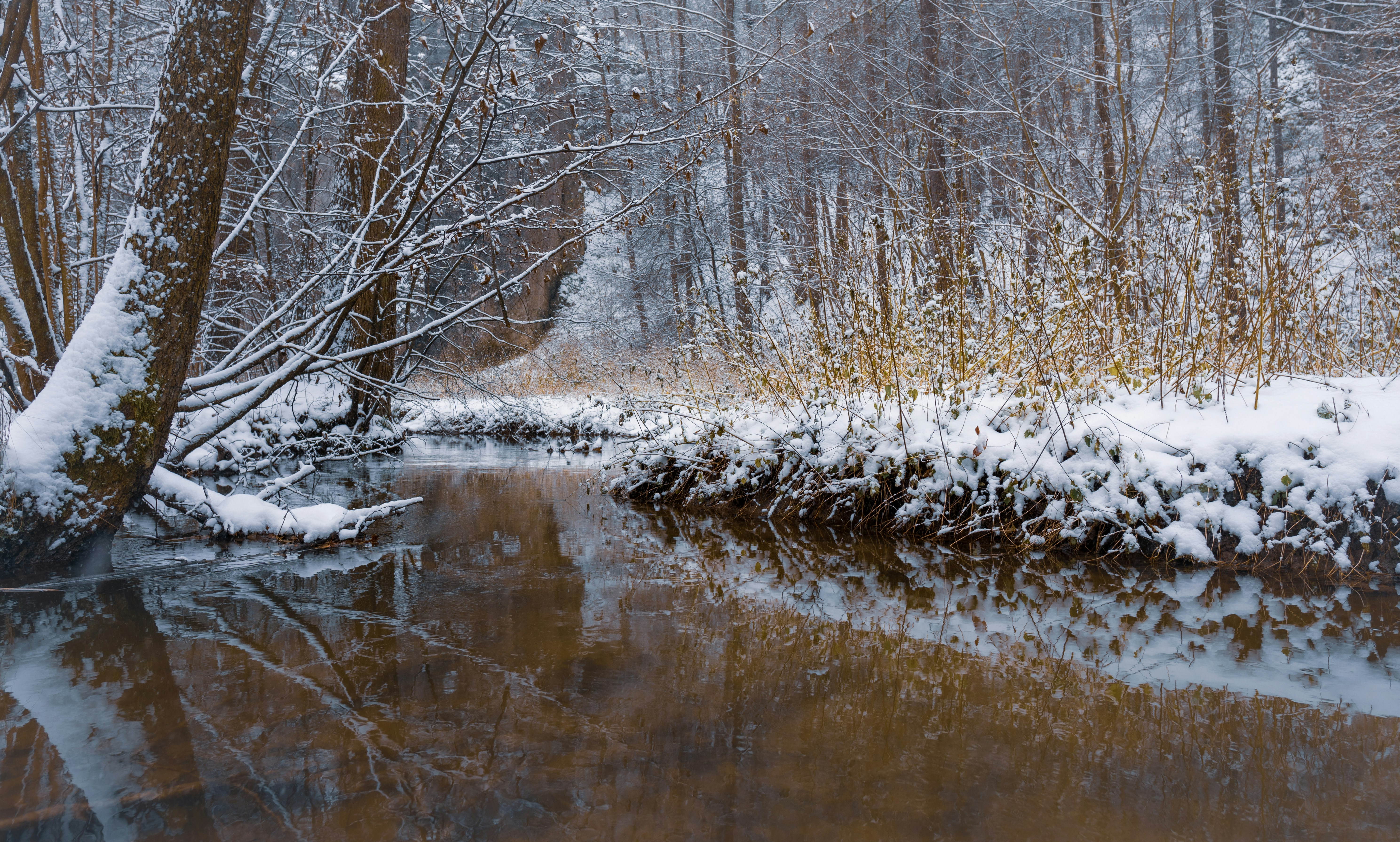 Photo by misha_blivi