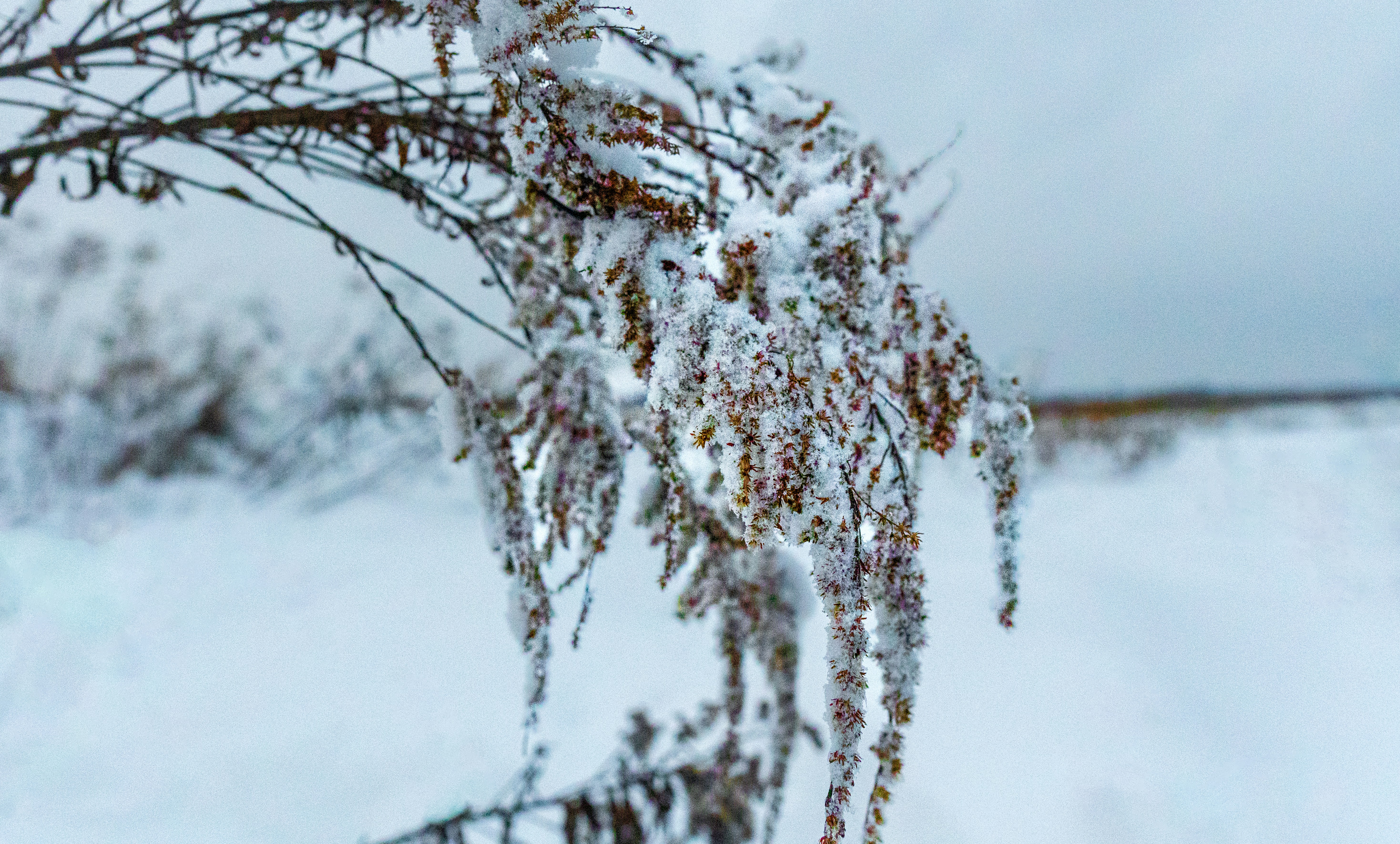 Photo by misha_blivi