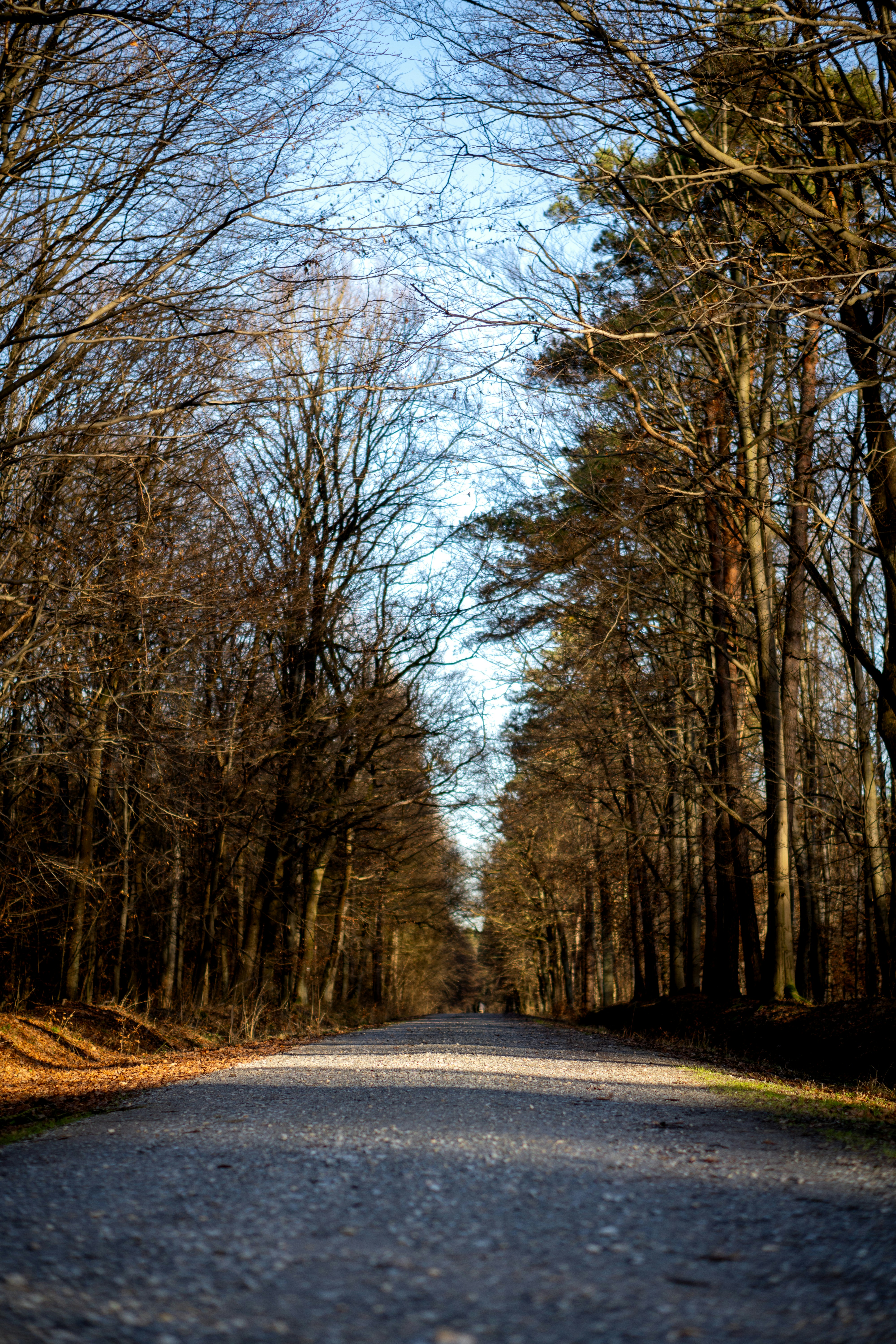 Photo by misha_blivi