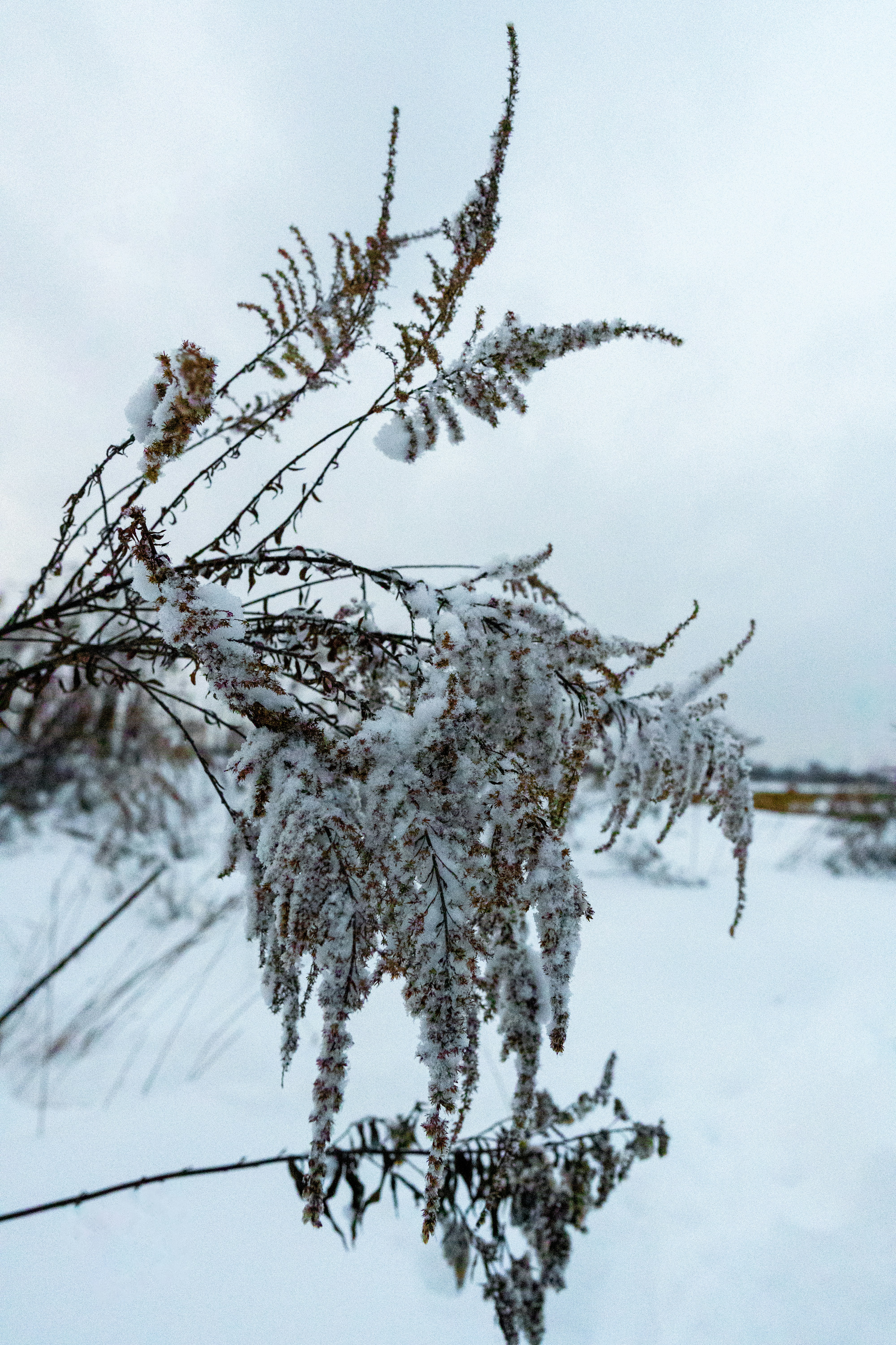 Photo by misha_blivi