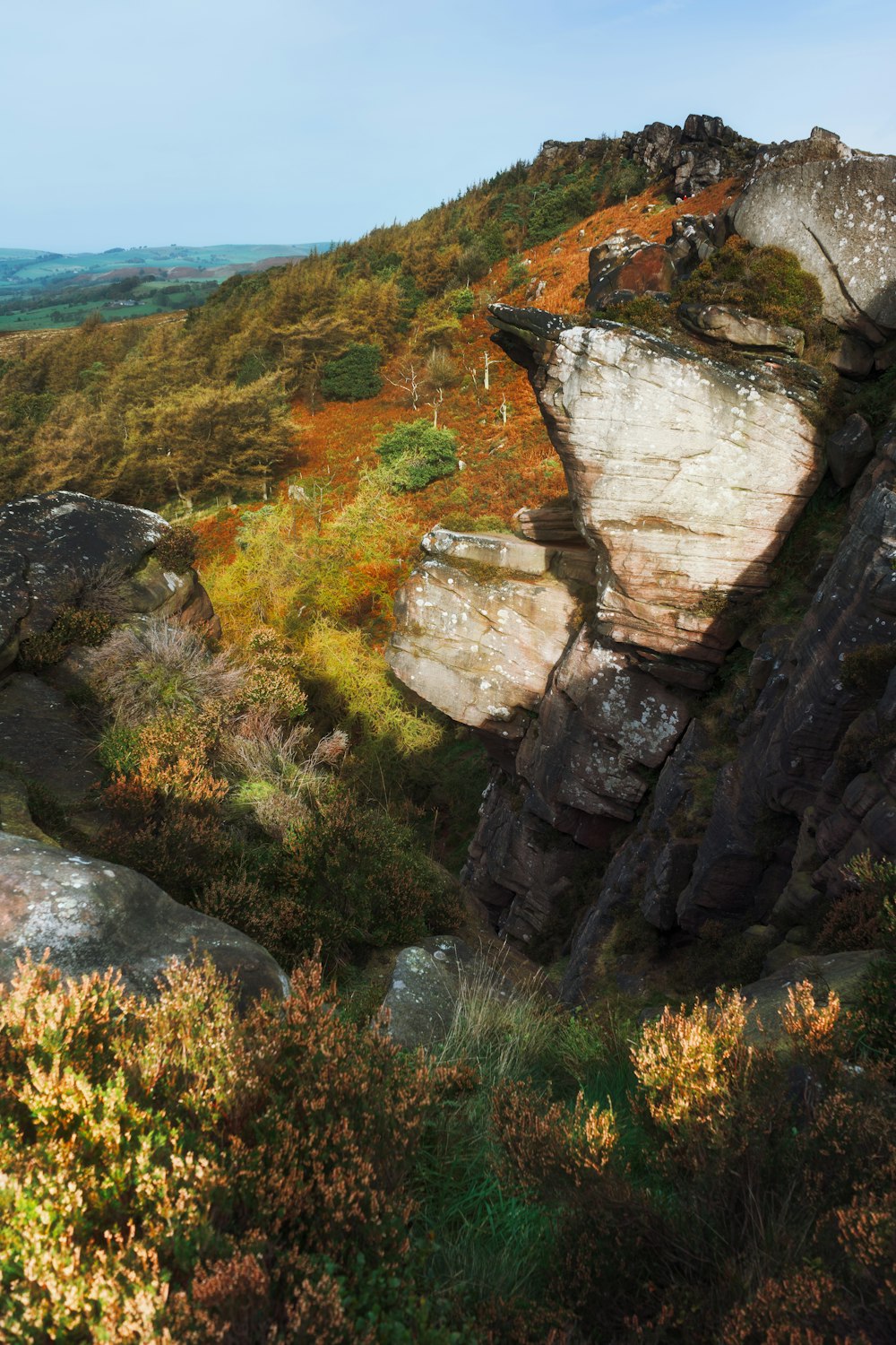 Ein felsiger Berg mit ein paar Bäumen auf der Spitze