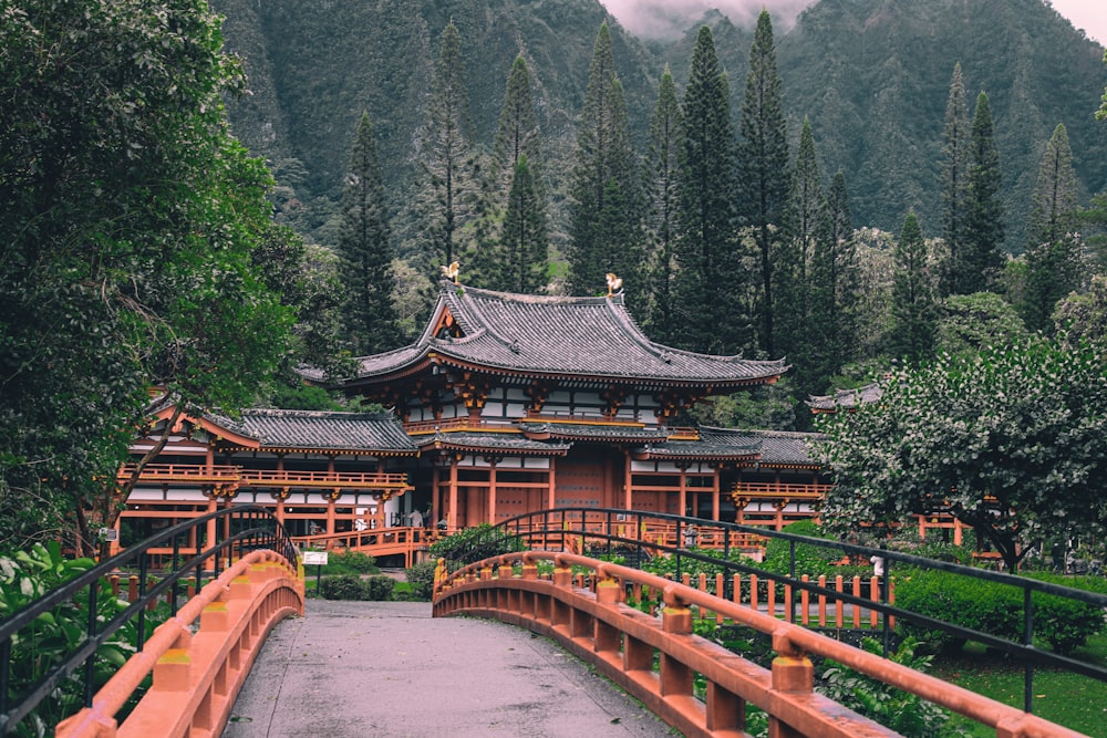 a wooden bridge over a lush green forest