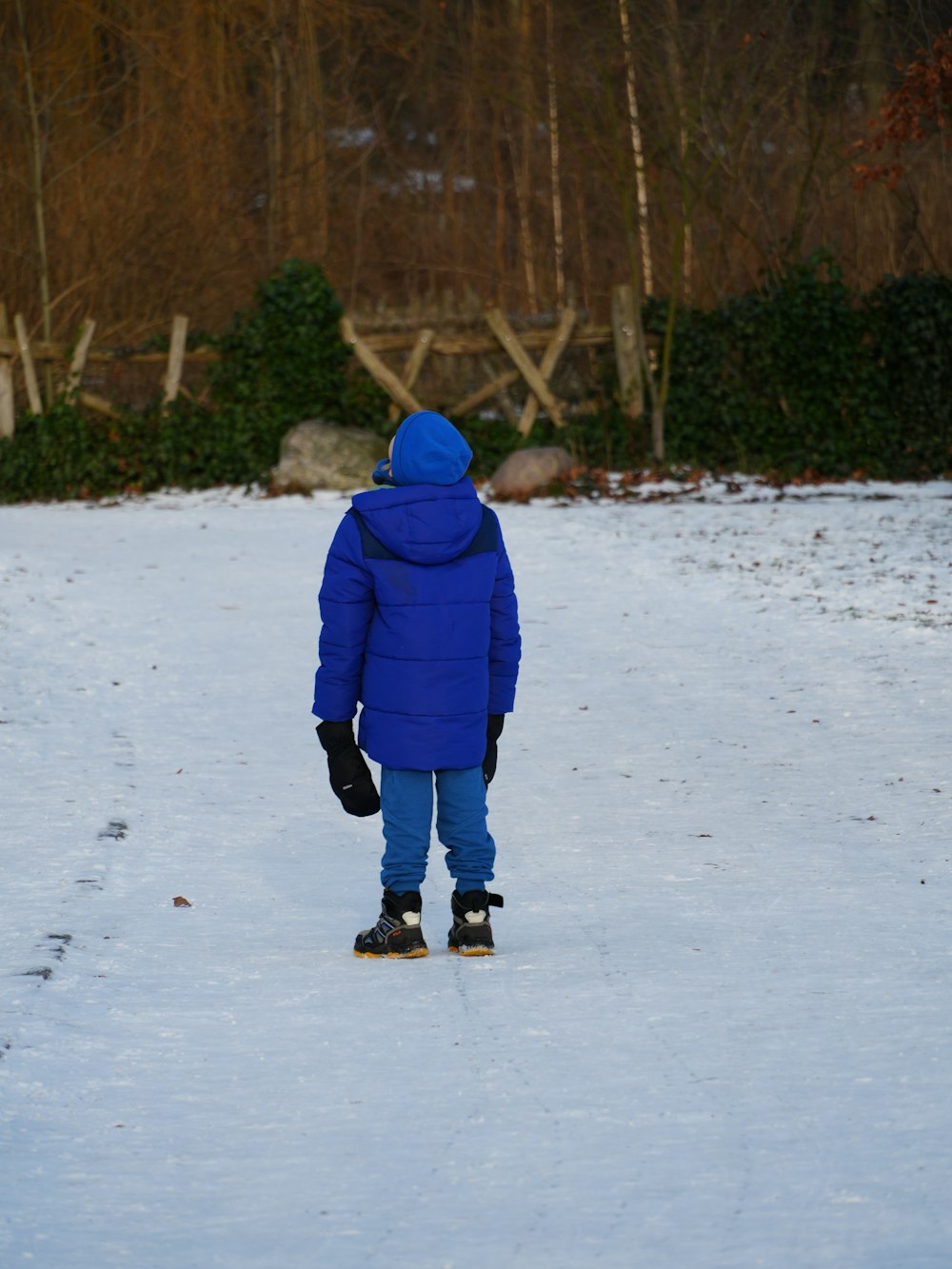a person in a blue jacket walking in the snow