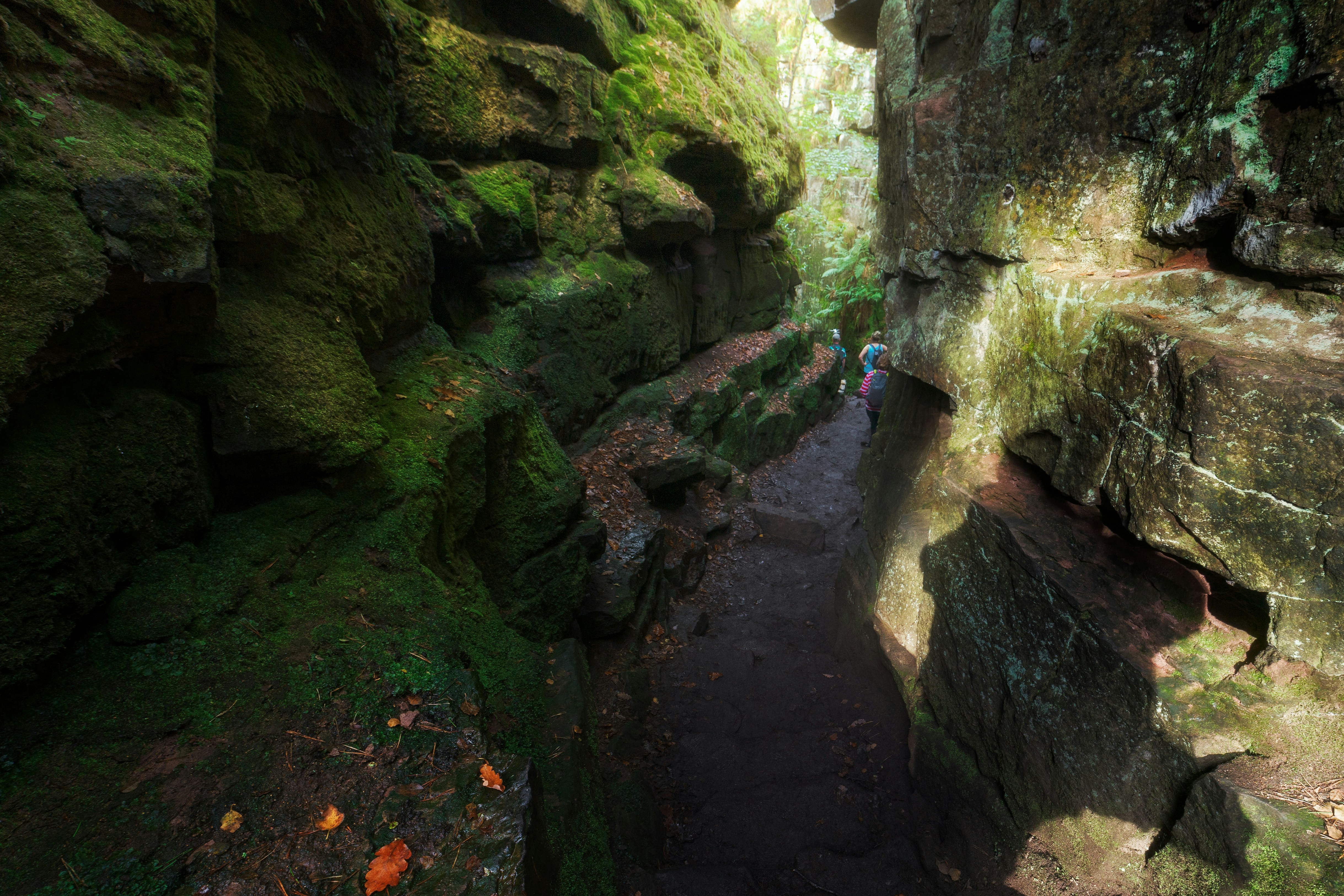 Photo by iancylkowskiphotography