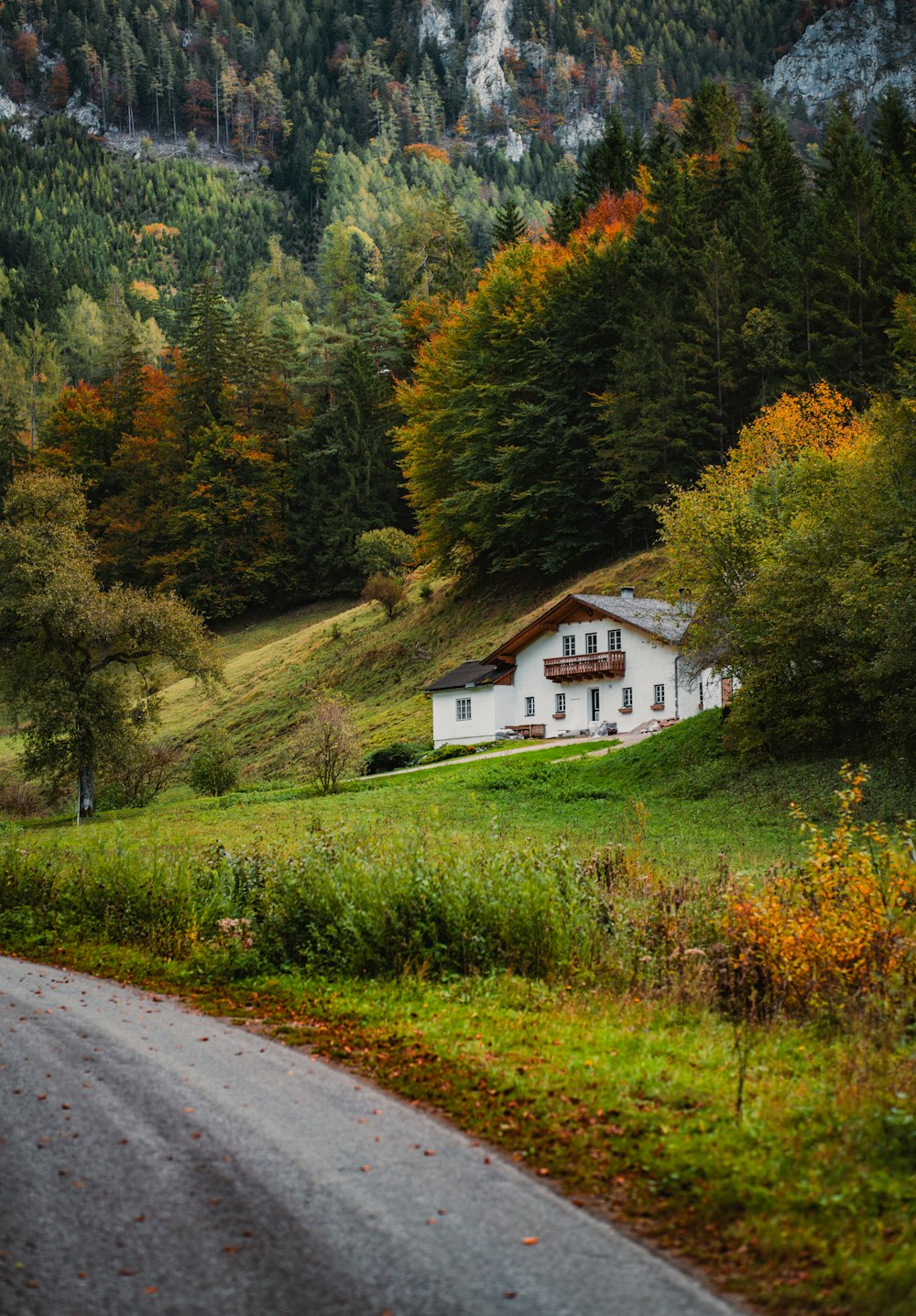 a white house sitting on the side of a road