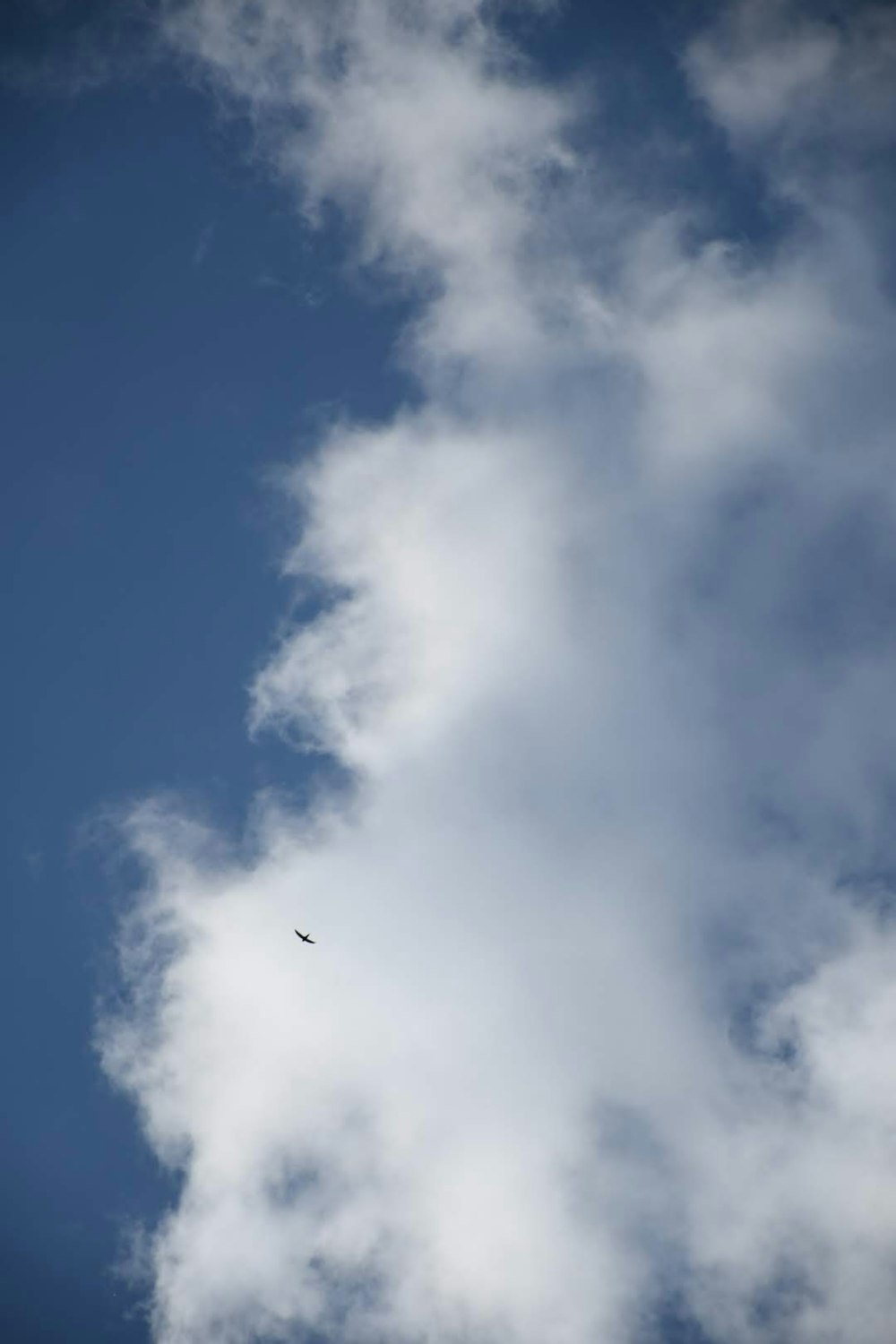 a plane flying through a cloudy blue sky