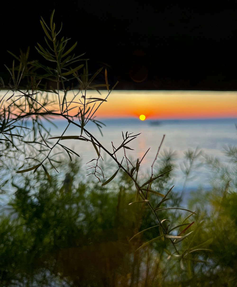 the sun is setting over a body of water