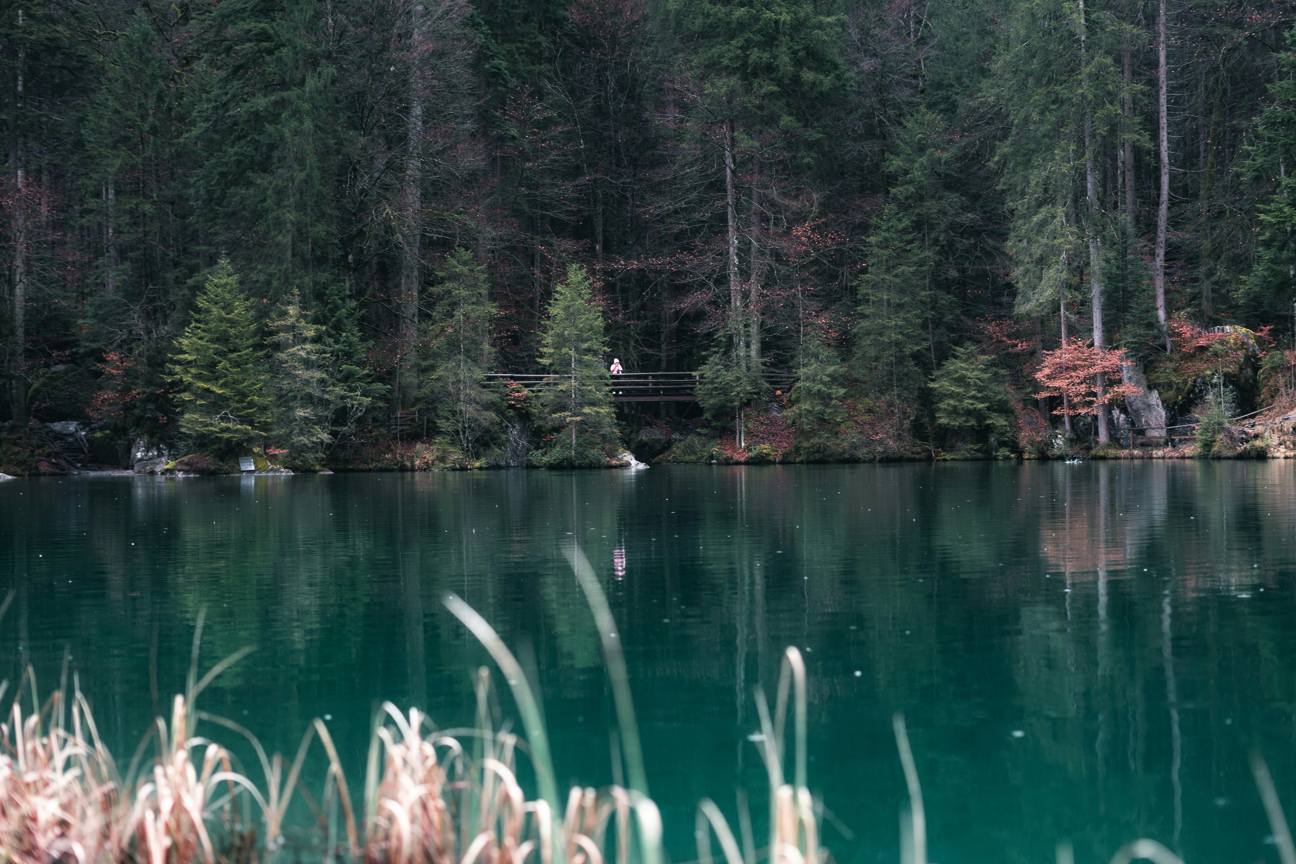 Photo by _sleepyarts_