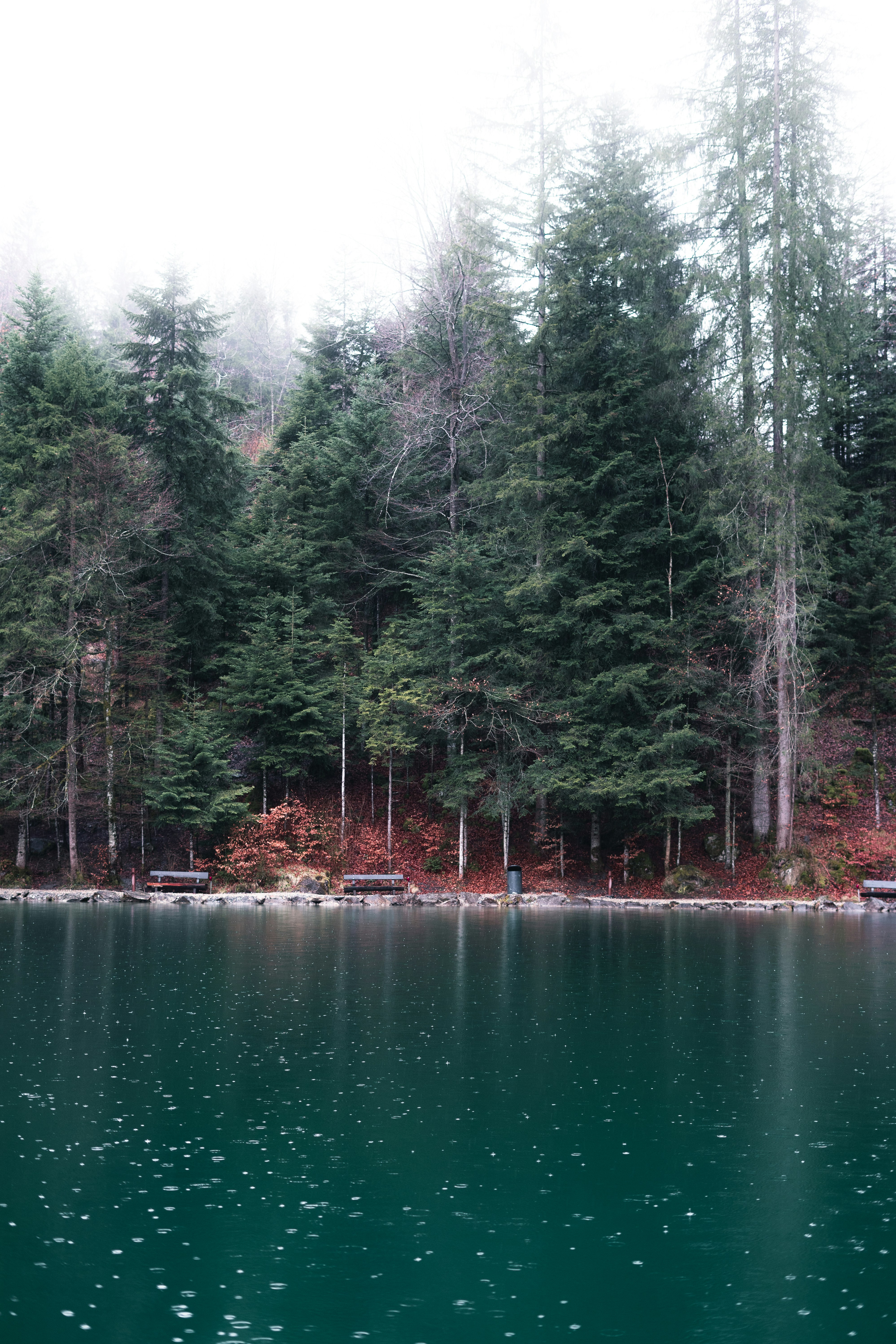 Photo by _sleepyarts_