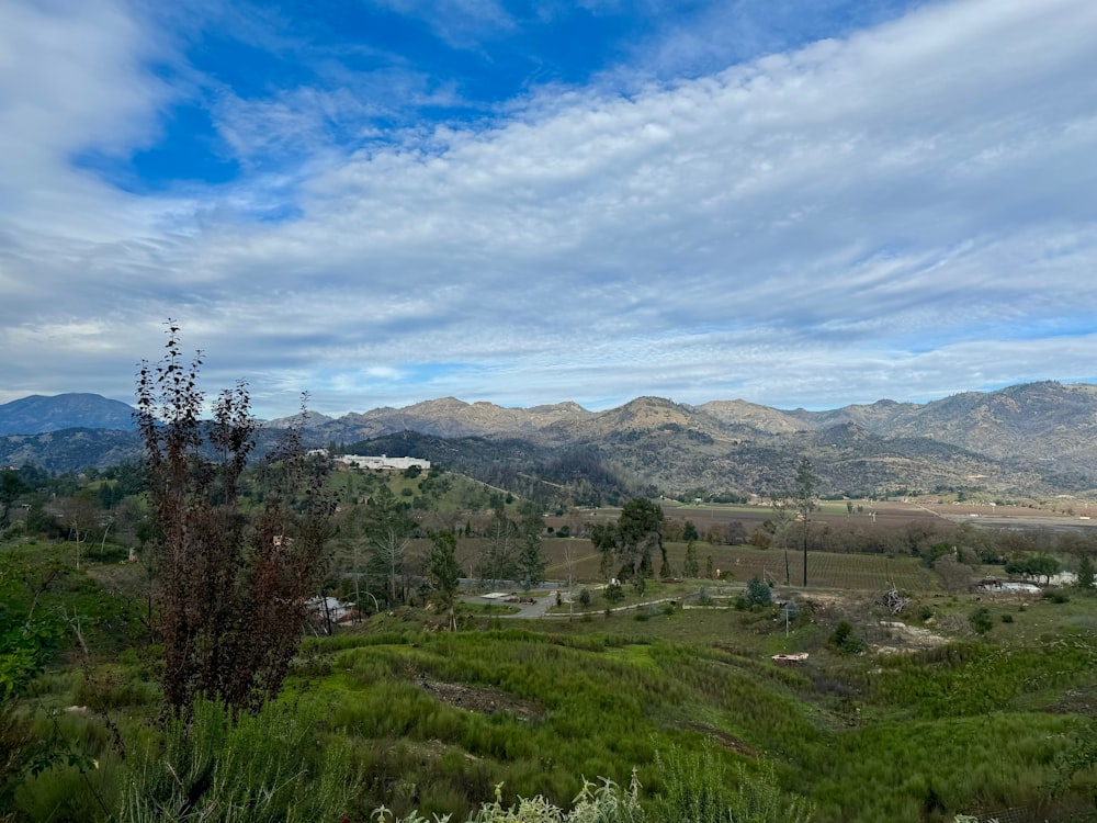 uma vista de um vale com montanhas ao fundo