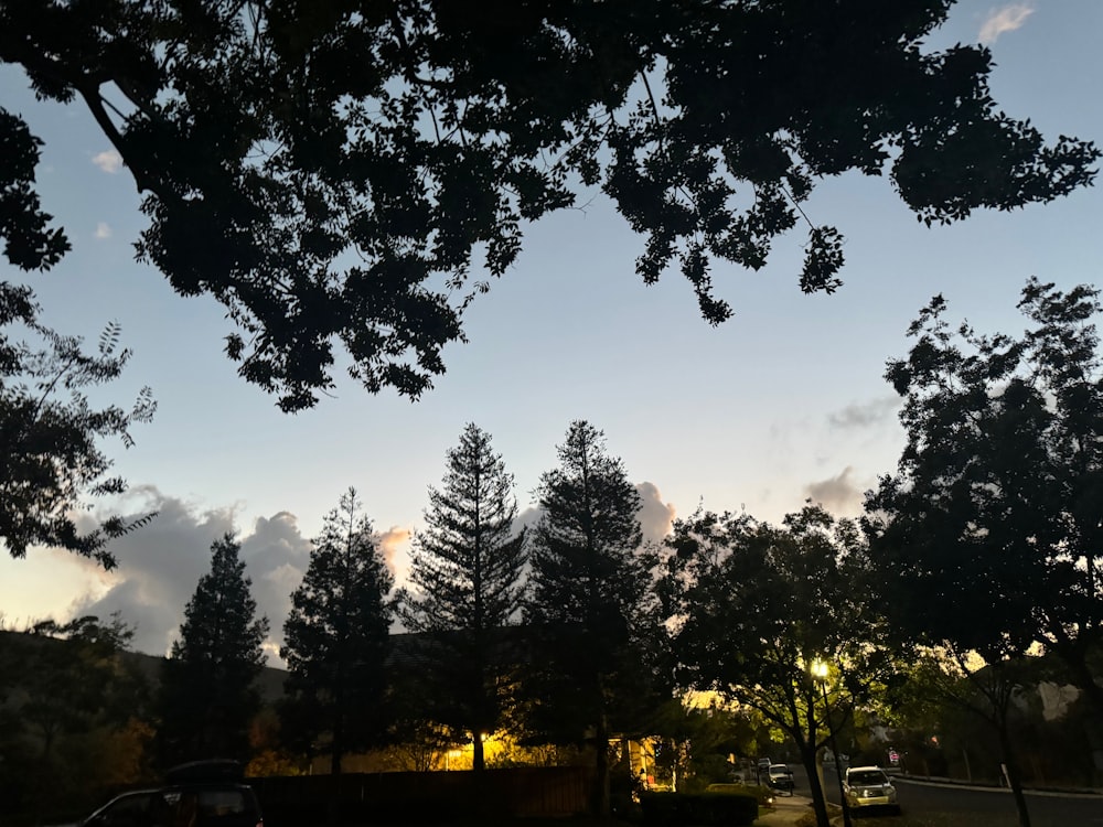 a car is parked in front of some trees