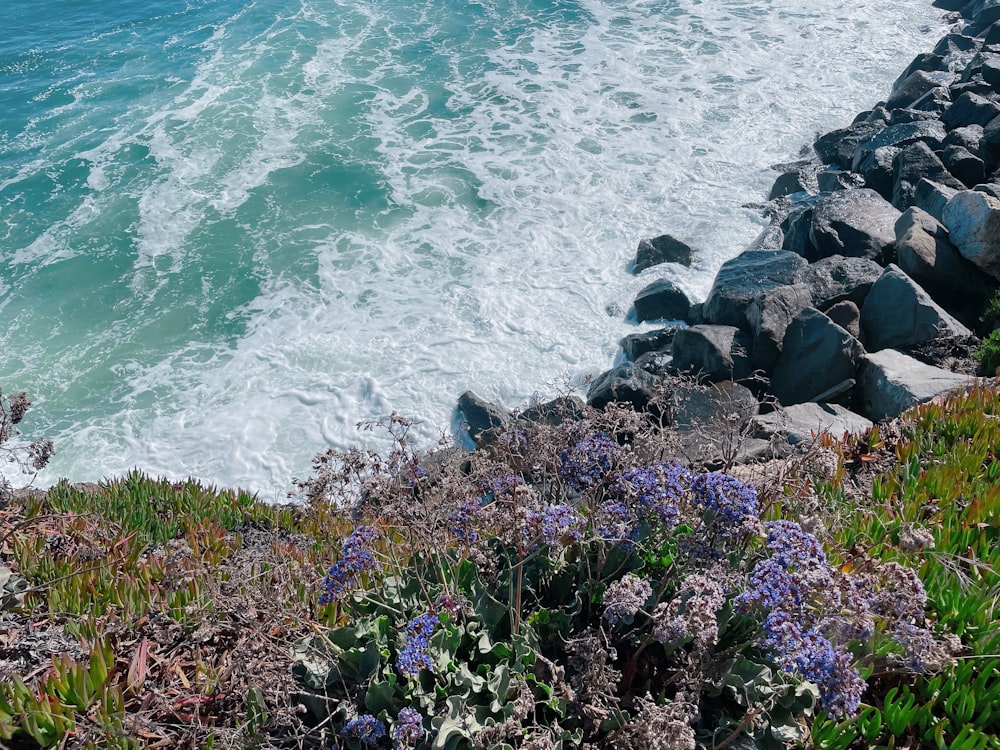 a view of a body of water from a cliff