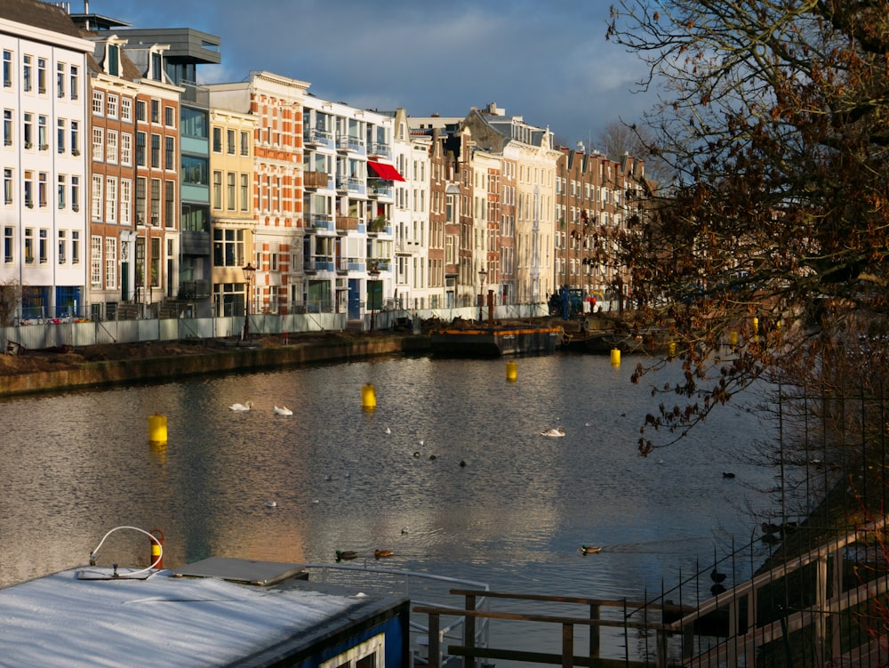 a body of water surrounded by tall buildings