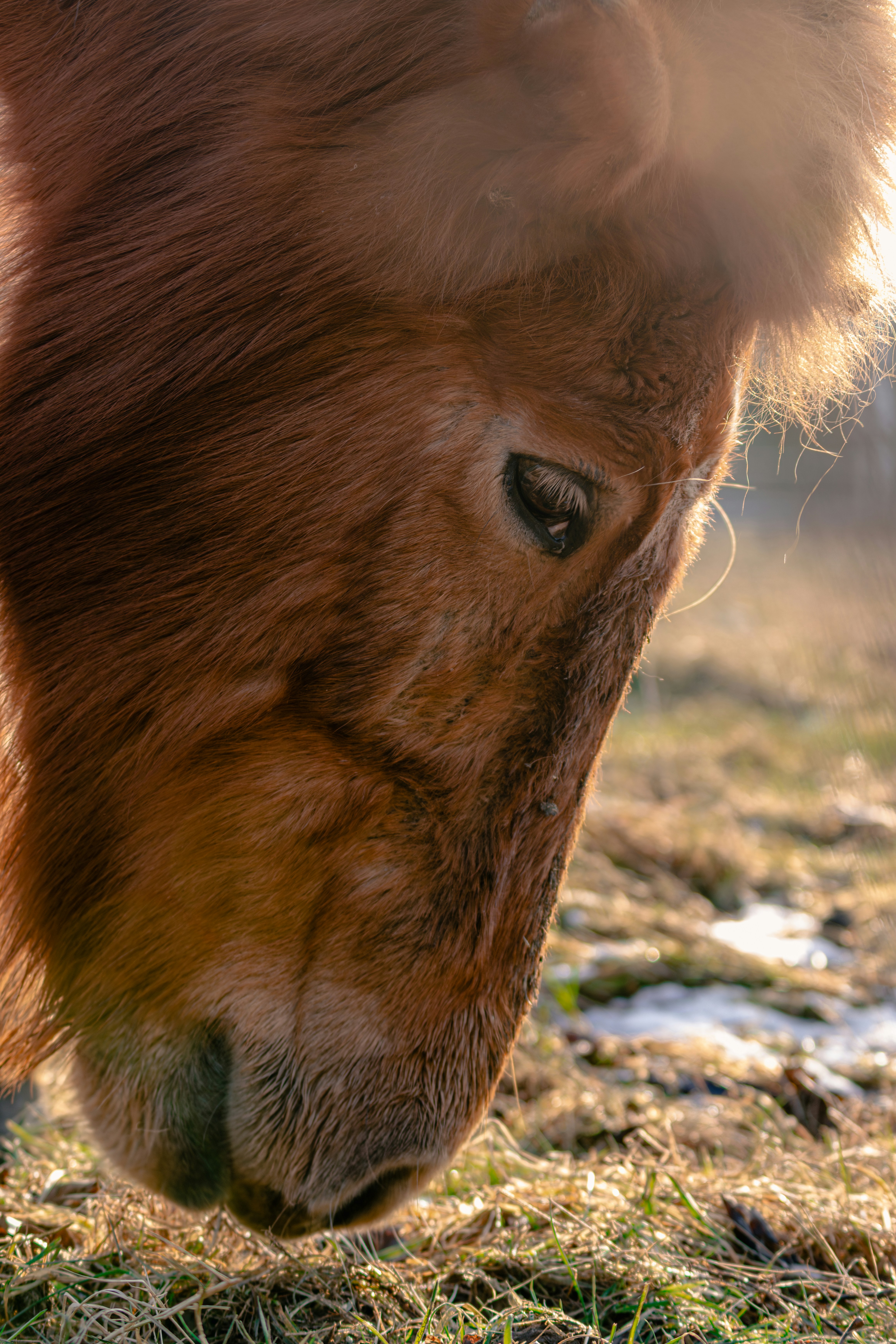 Photo by larsportjanow