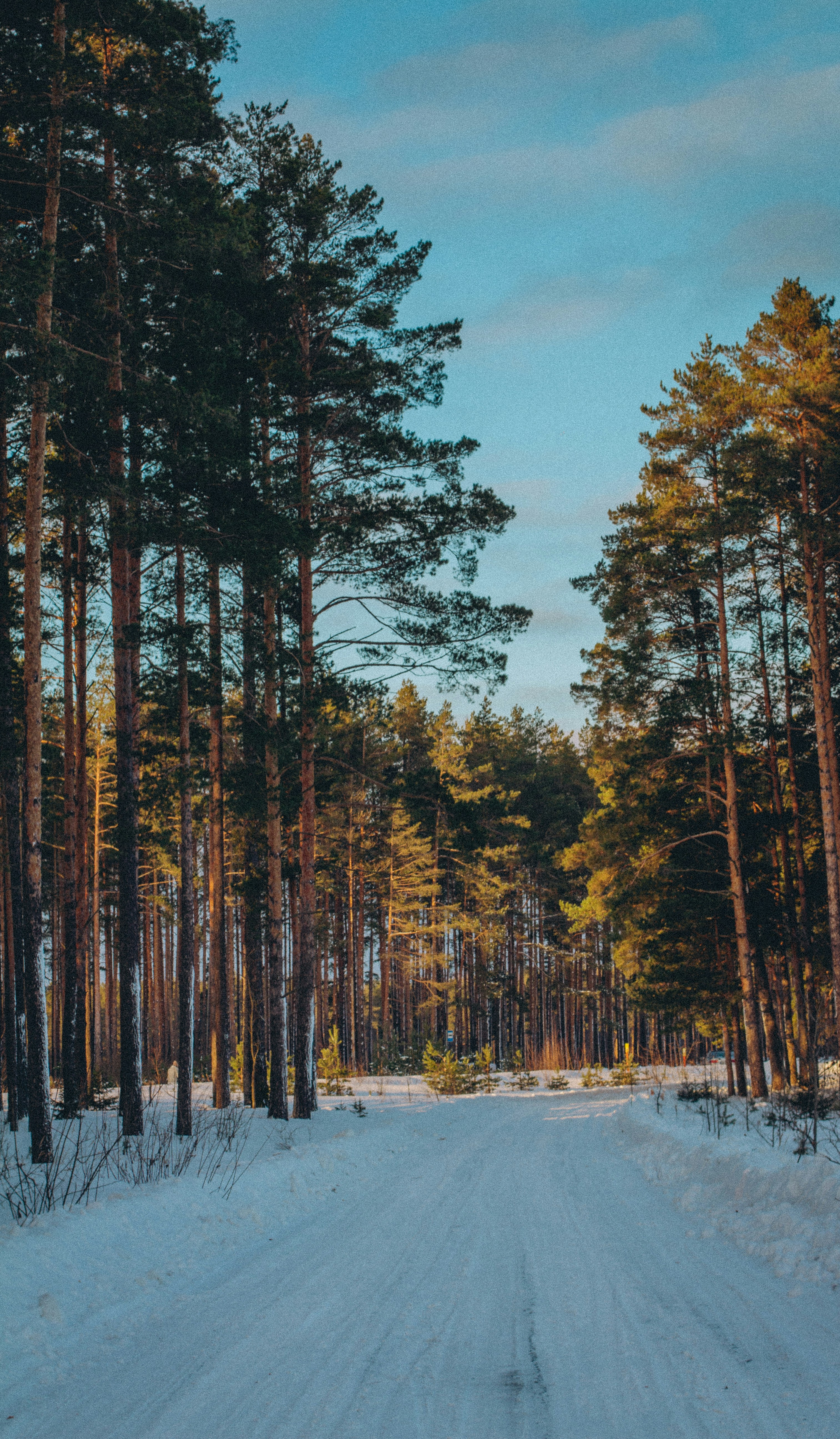 Photo by maximyuryshev