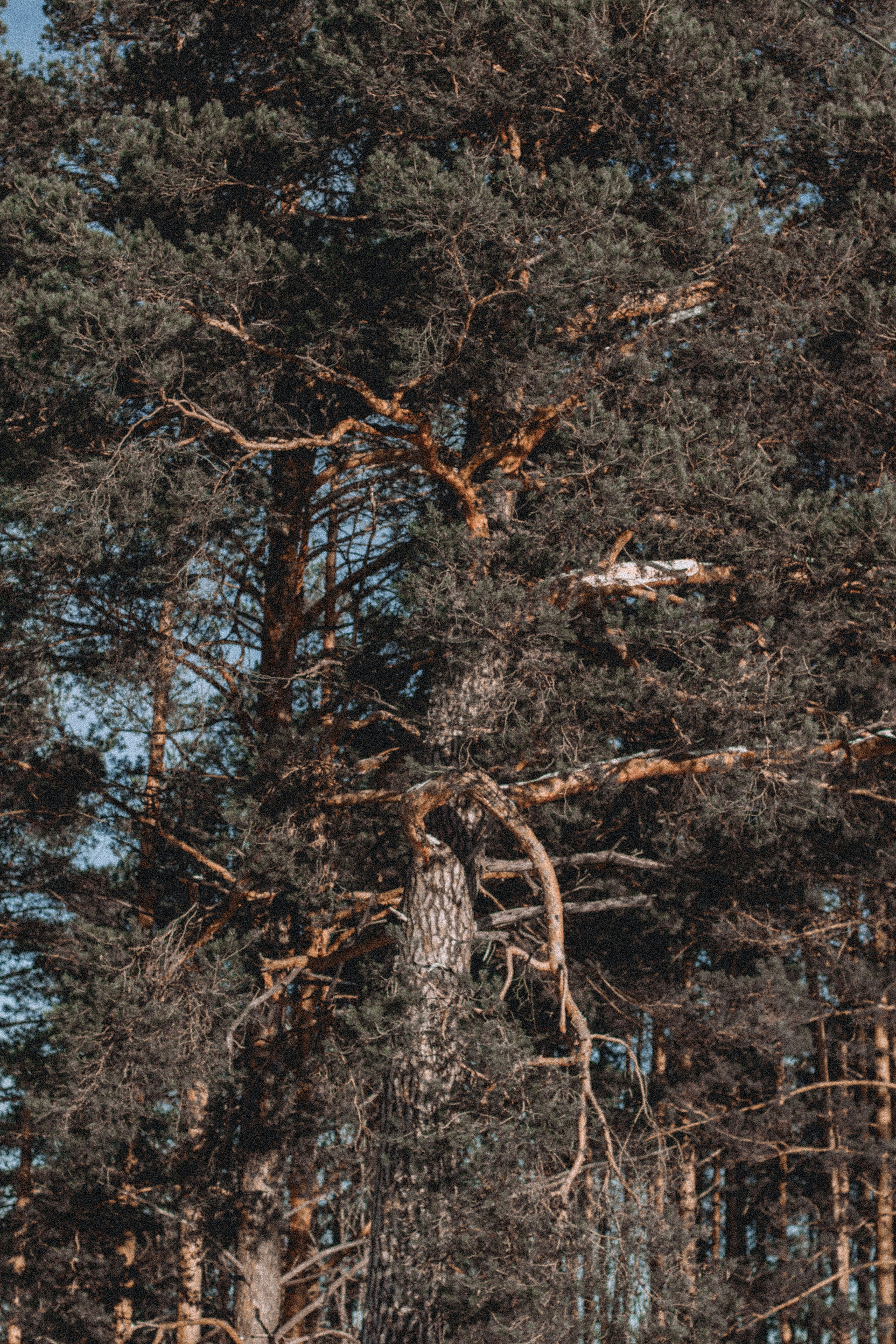 Photo by maximyuryshev