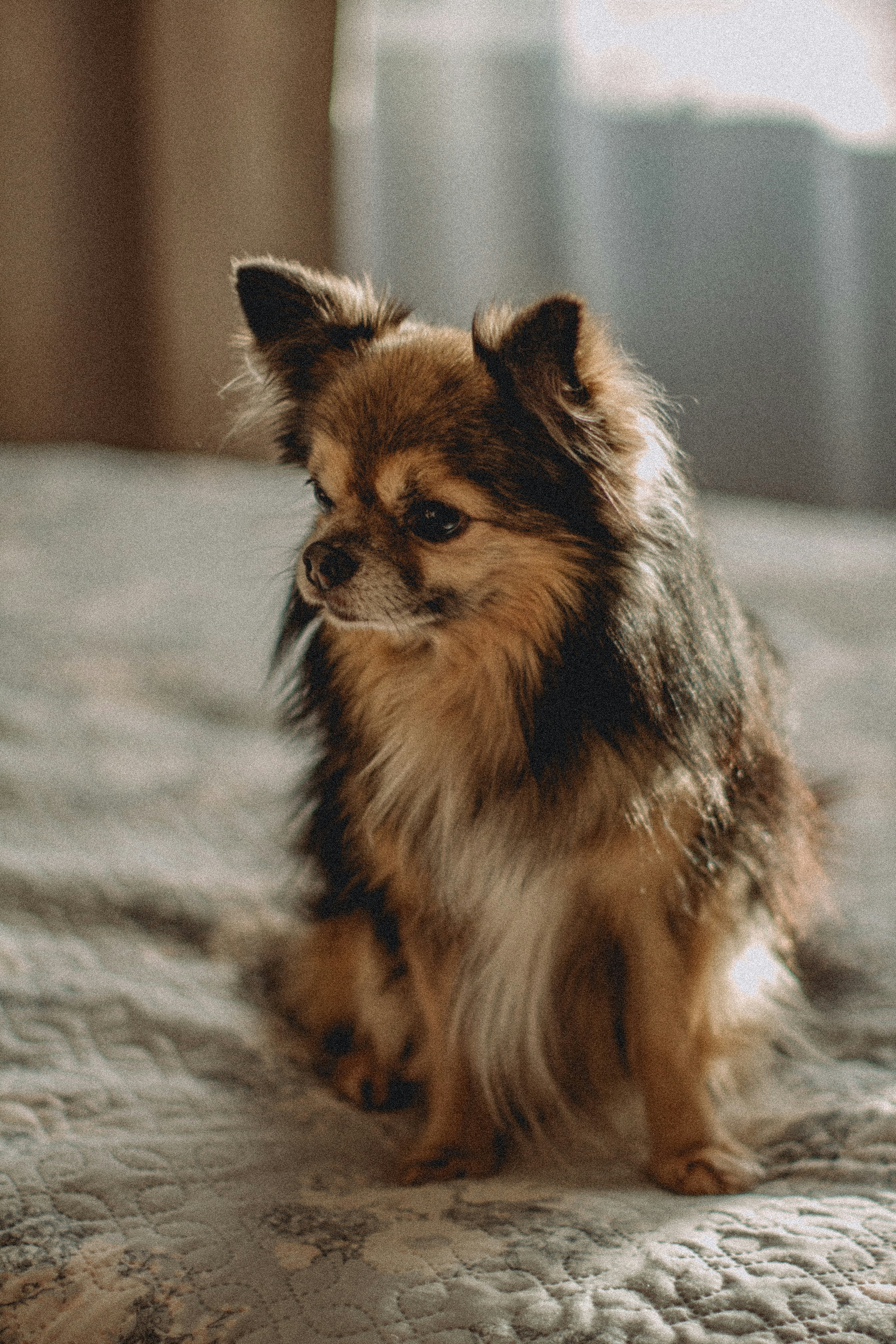 Photo by maximyuryshev