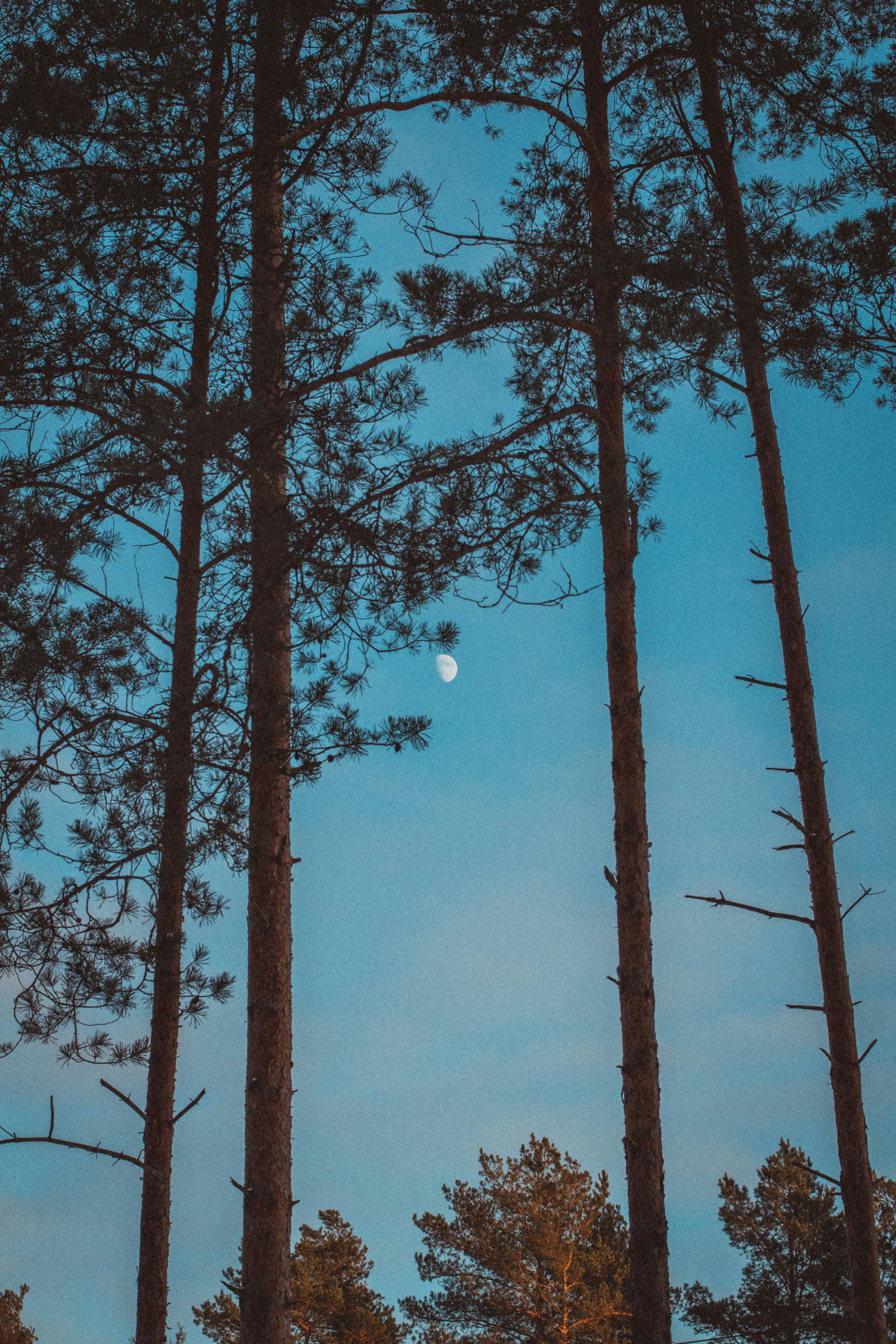 Photo by maximyuryshev