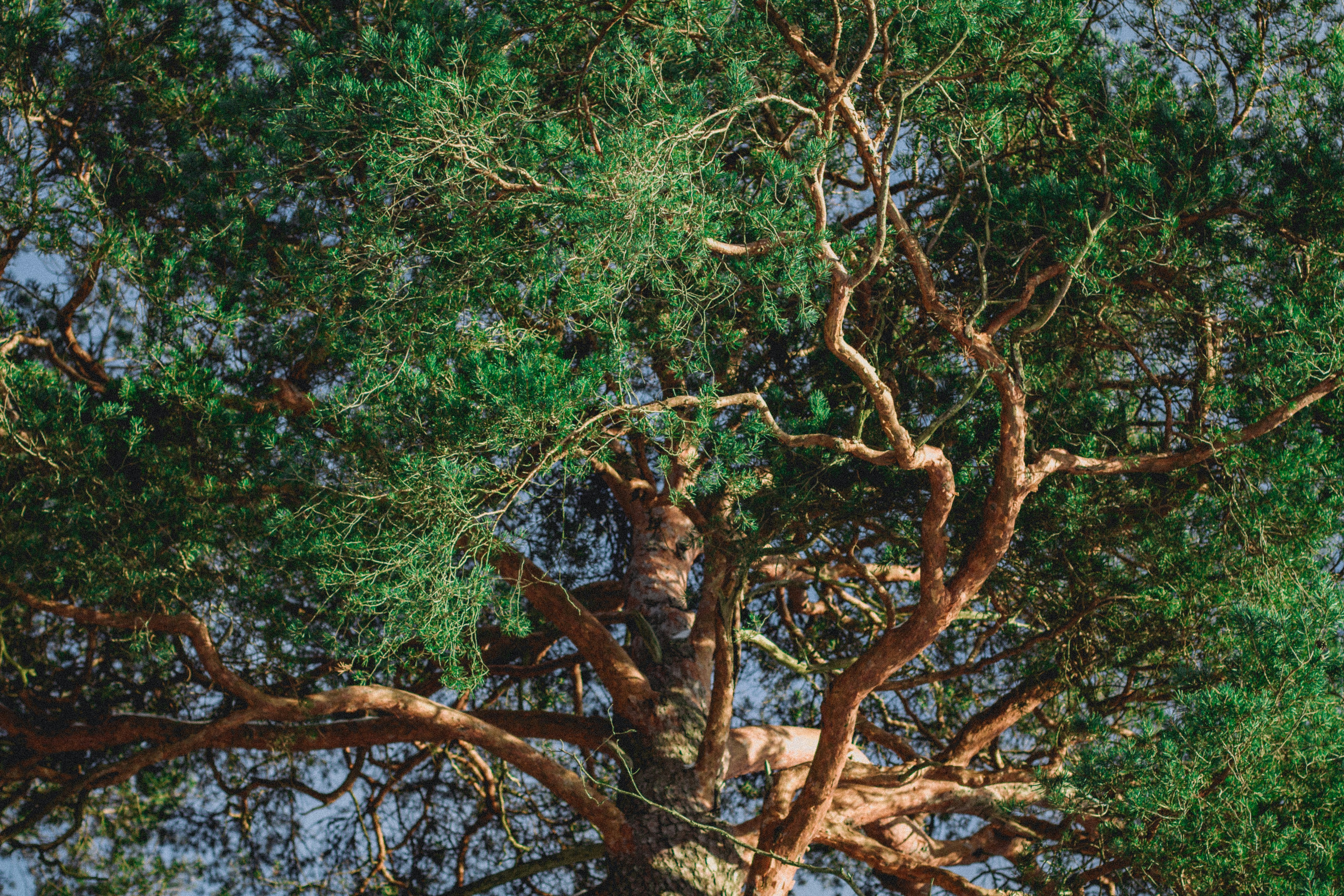 Photo by maximyuryshev