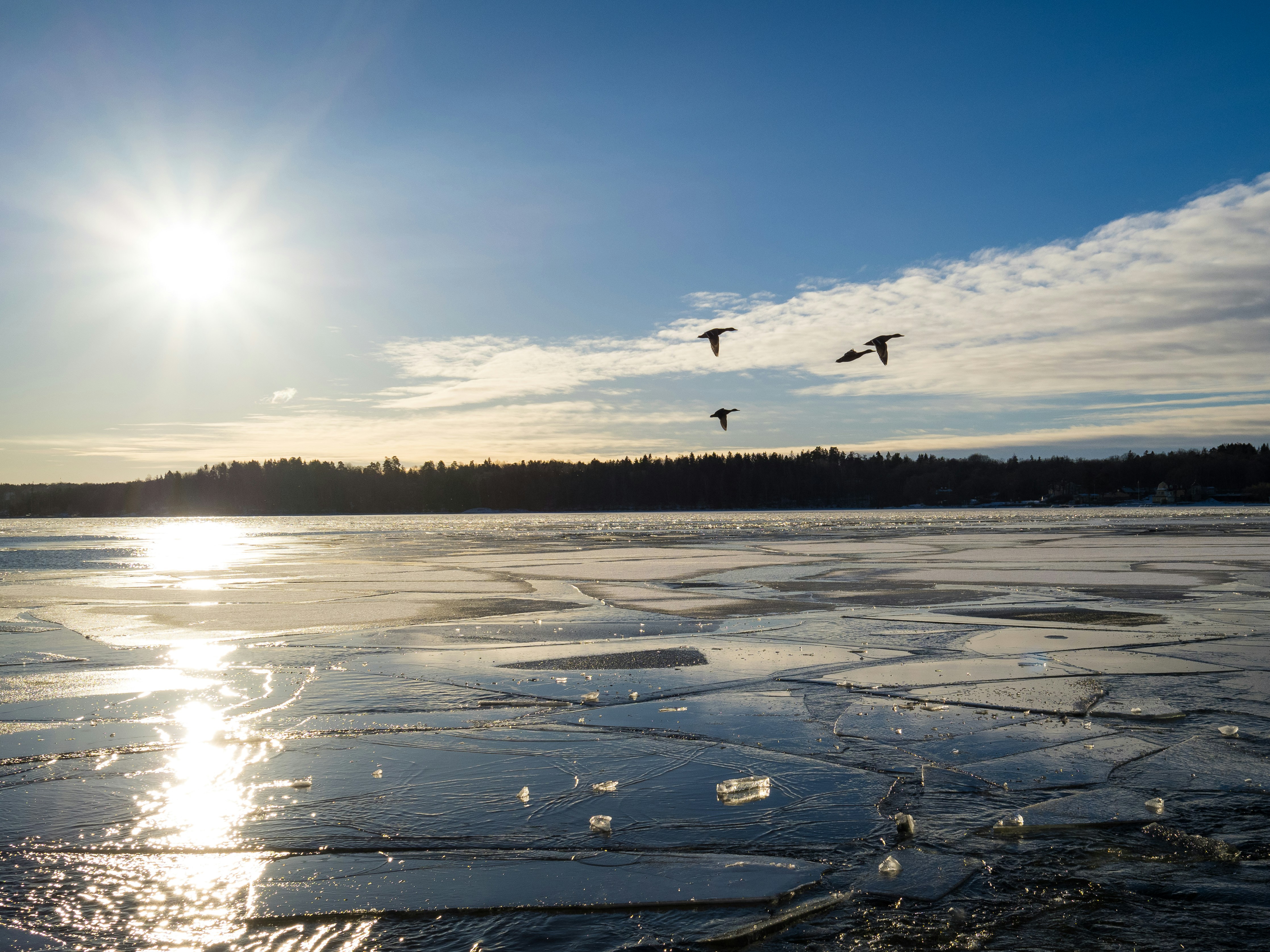 a couple of birds flying over a frozen lake
