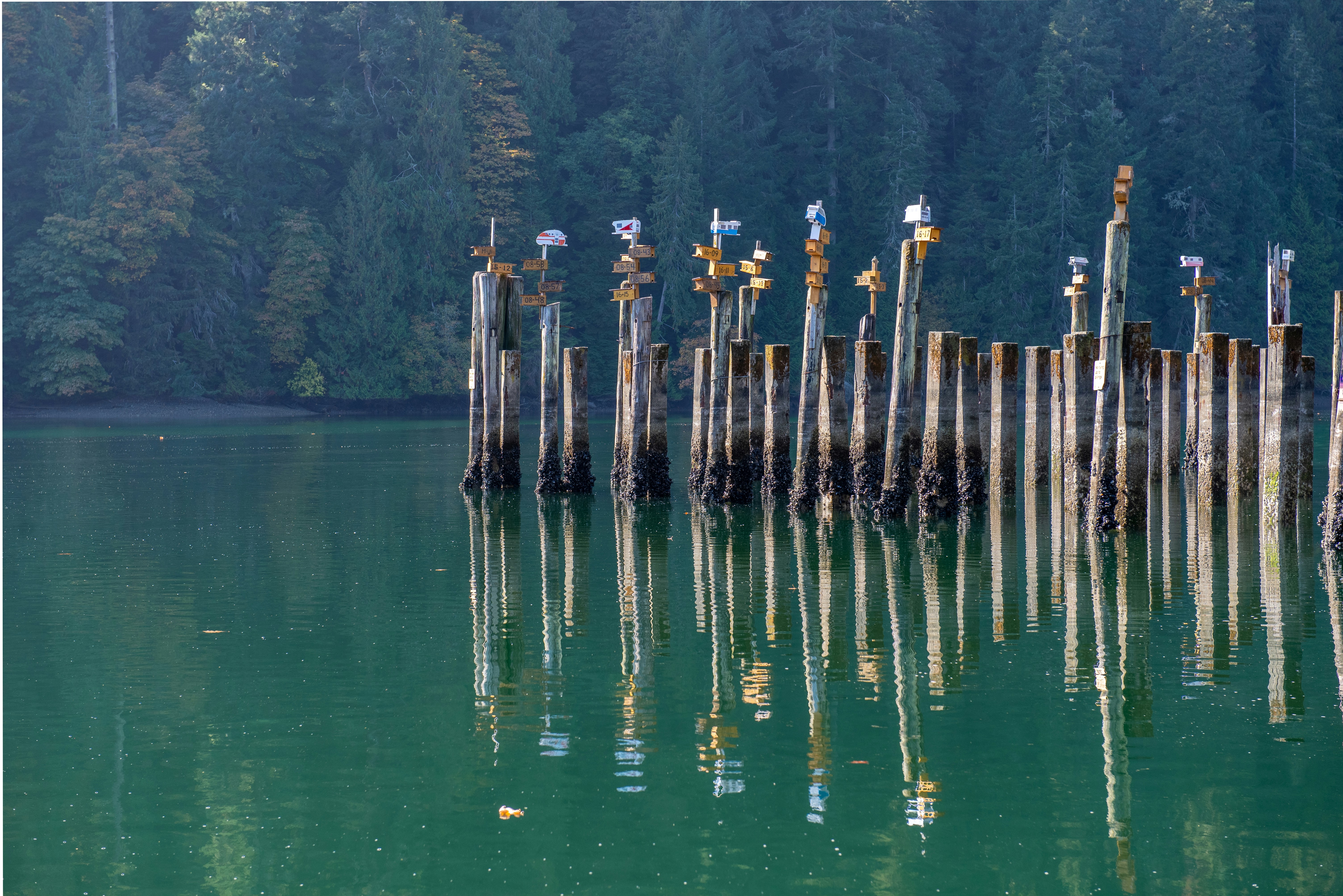 Unlocking the Secrets: Essential Legal Requirements for Rental Properties in British Columbia