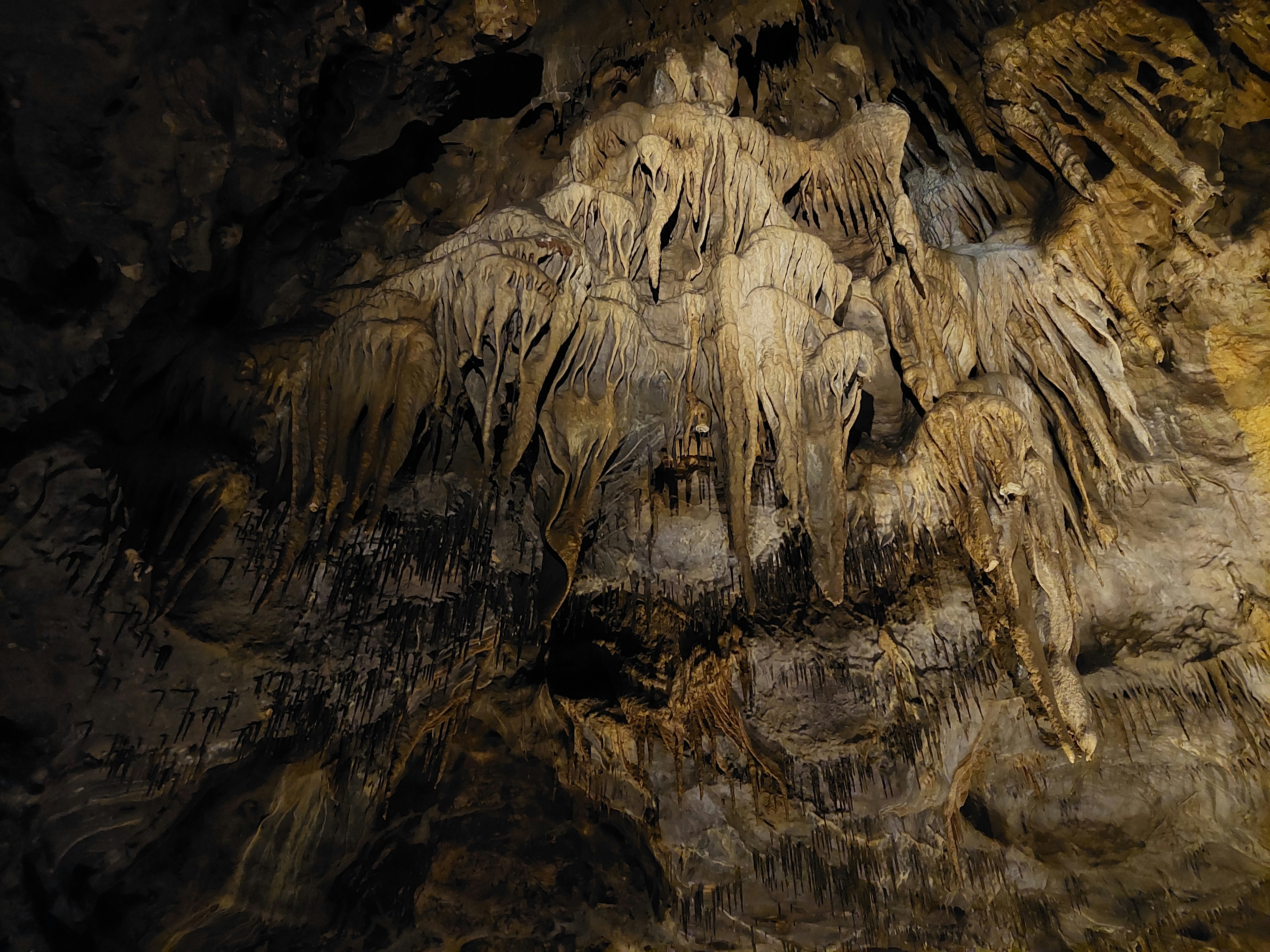 Photo by anna_kharkivska