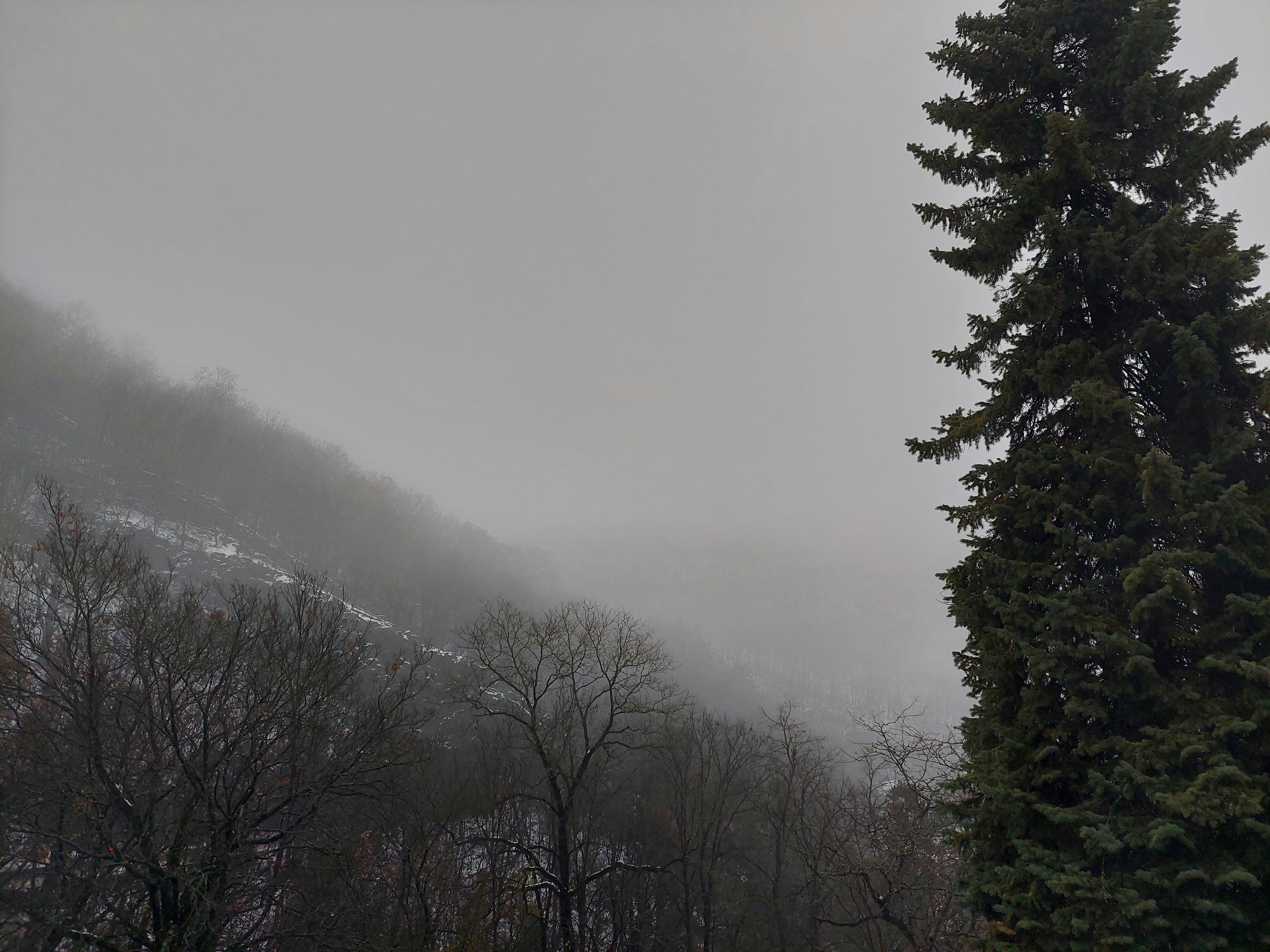 Photo by anna_kharkivska