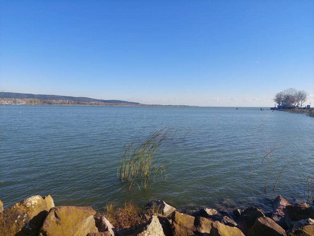 a body of water surrounded by rocks and grass