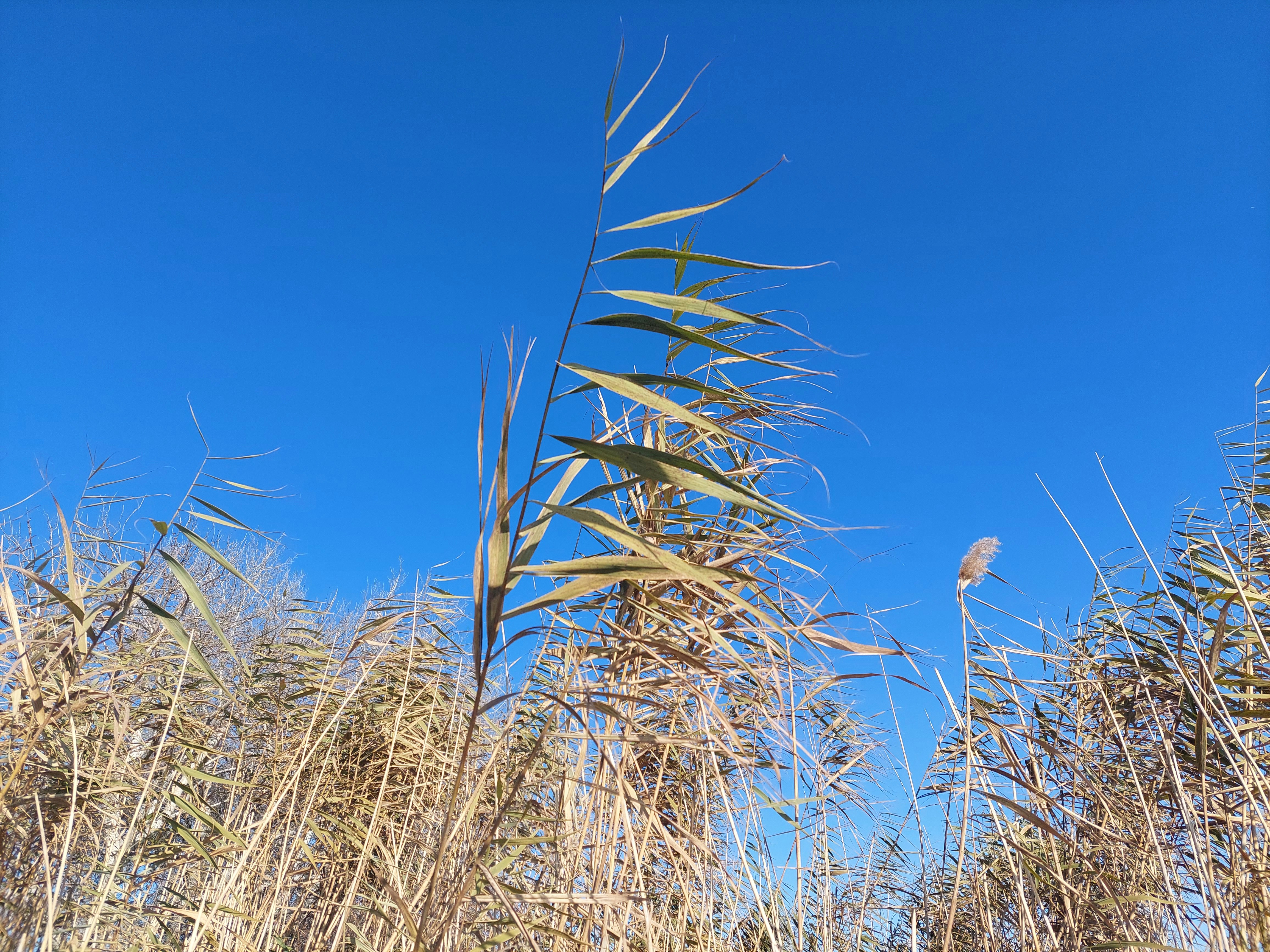 Photo by anna_kharkivska