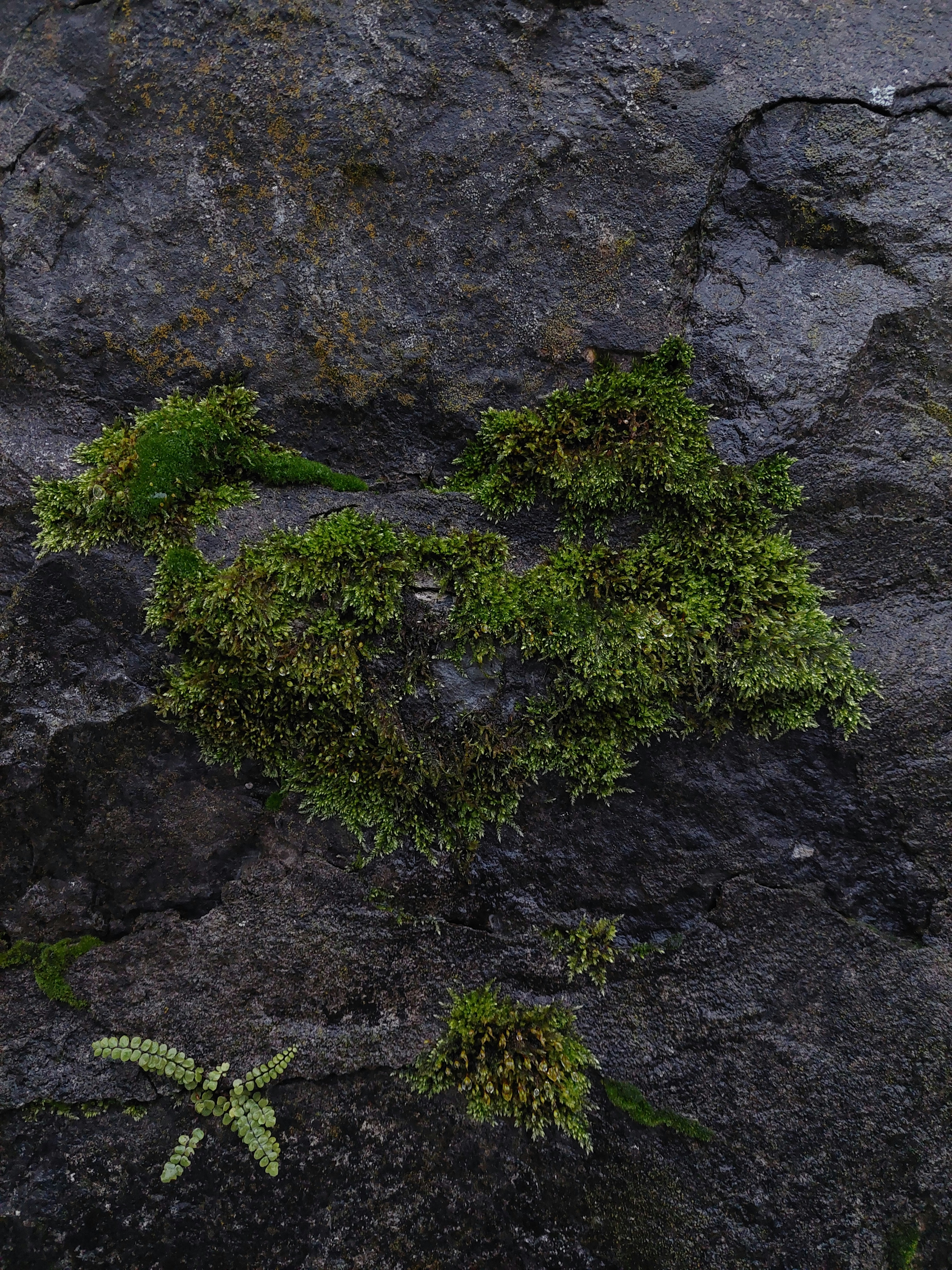 Photo by anna_kharkivska